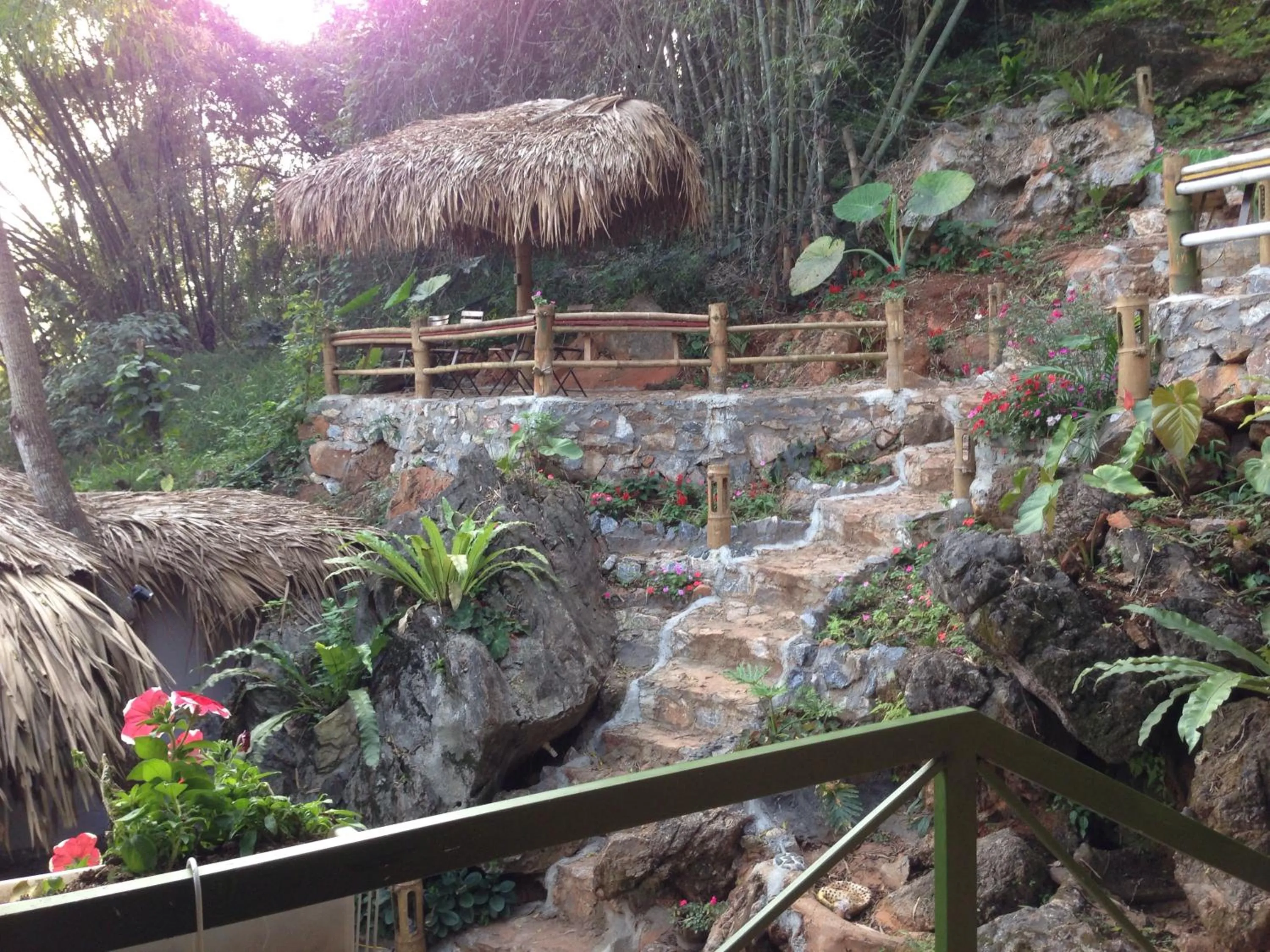 Garden view in Green Hill Hostel & Tour