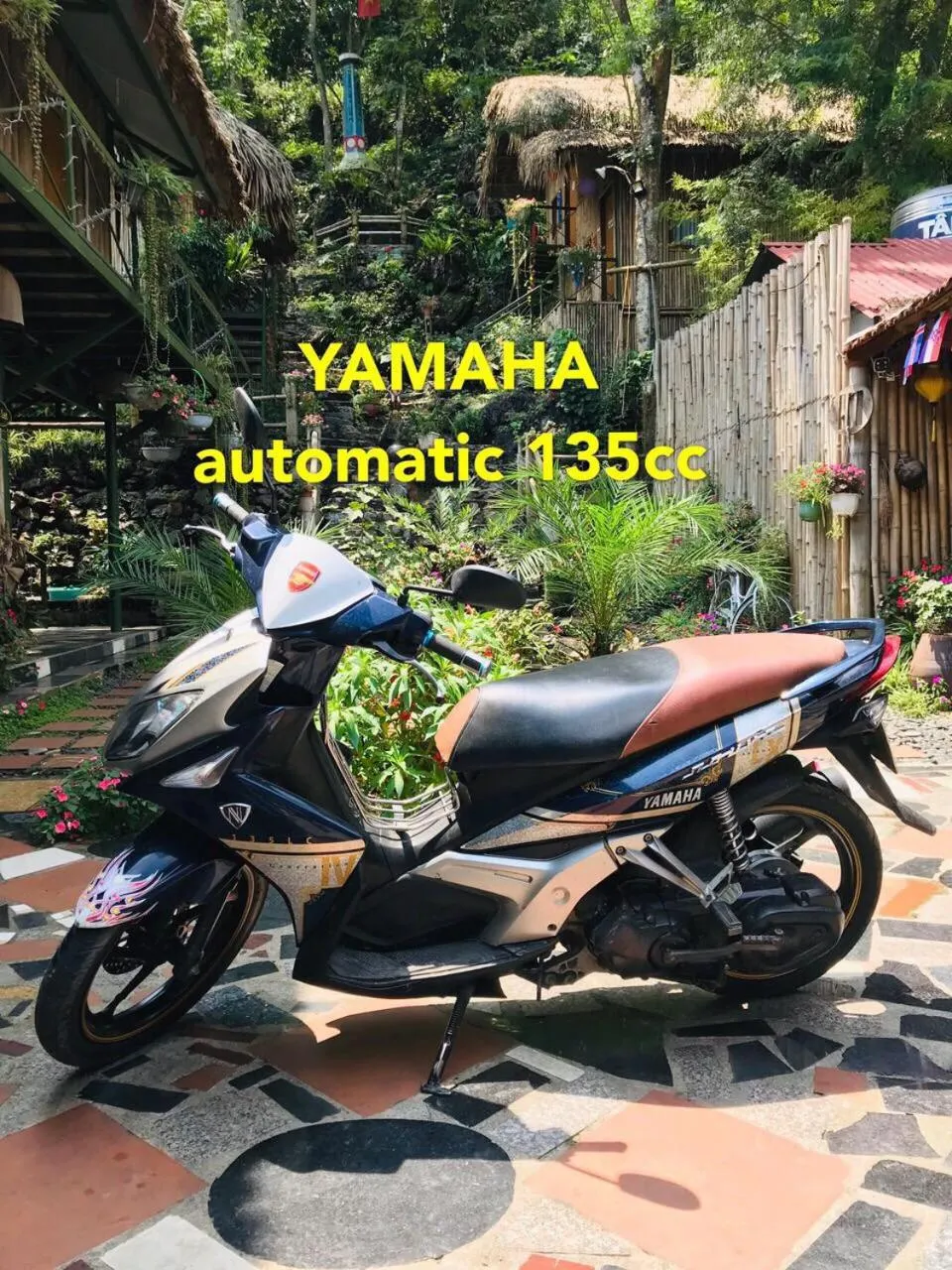 Cycling in Green Hill Hostel & Tour