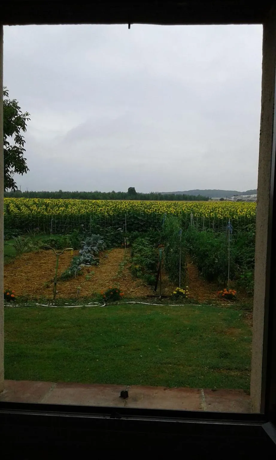 Garden in Villa Gazounette