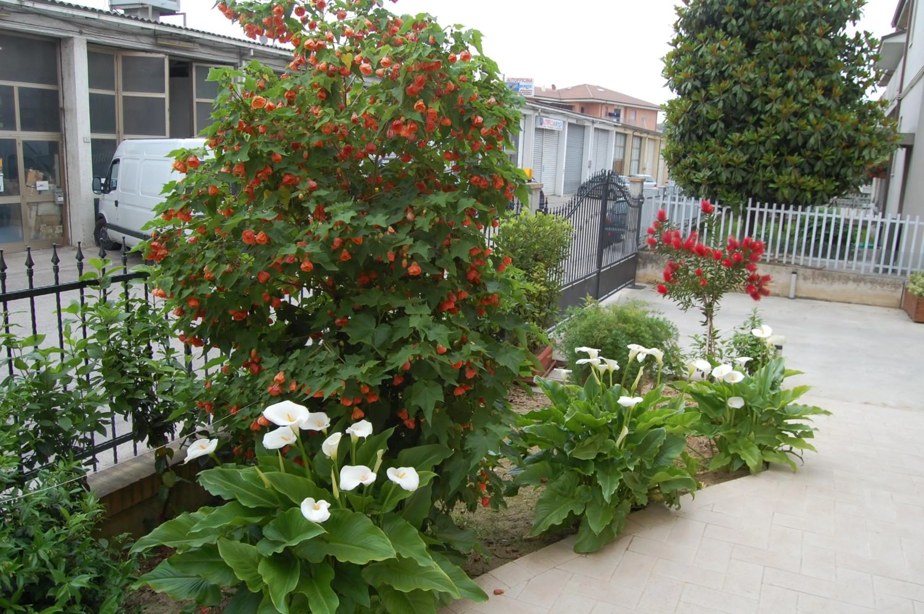 Activities in AFFITTACAMERE La Tartaruga