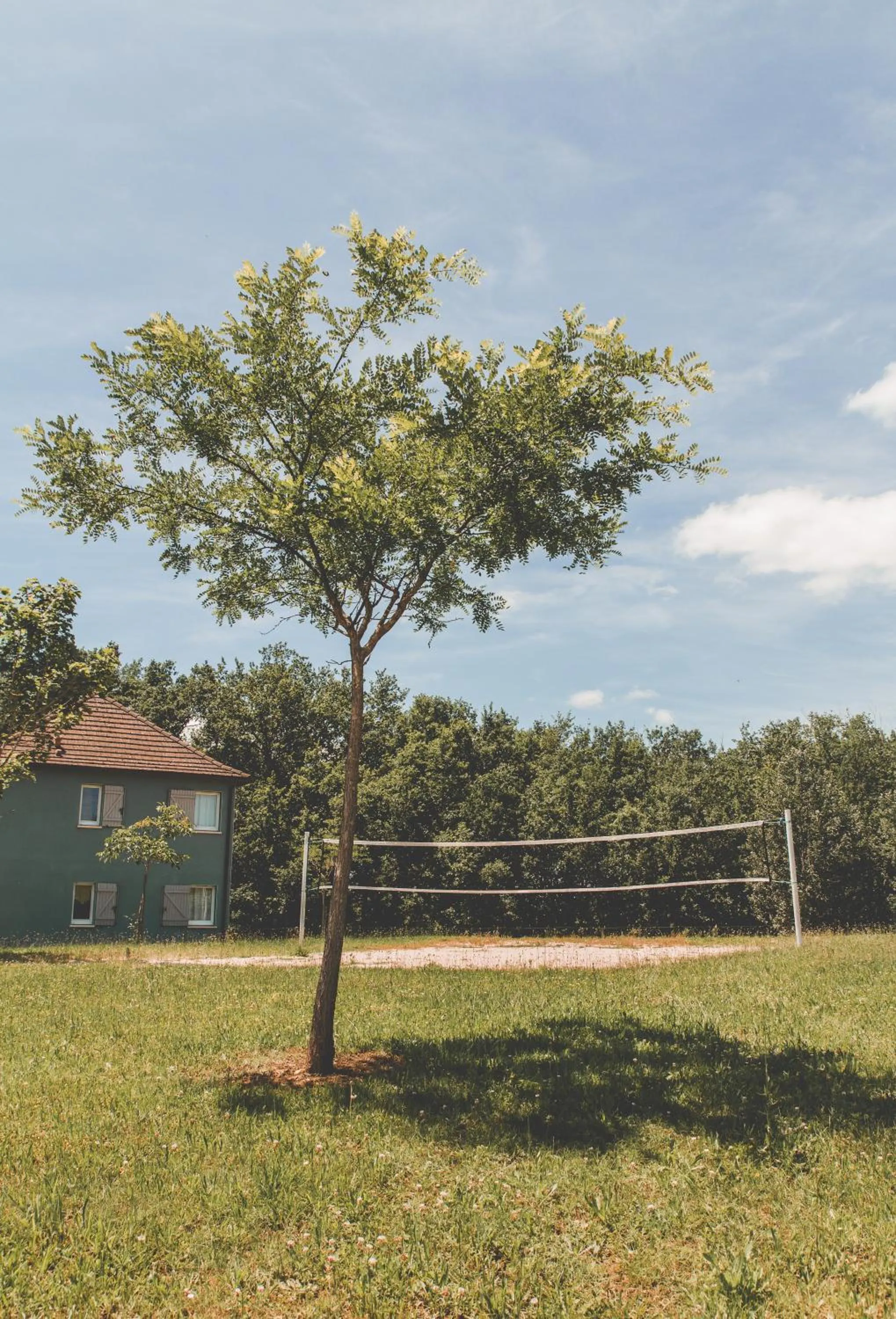 Garden in Terres de France - Domaine de Claire Rive