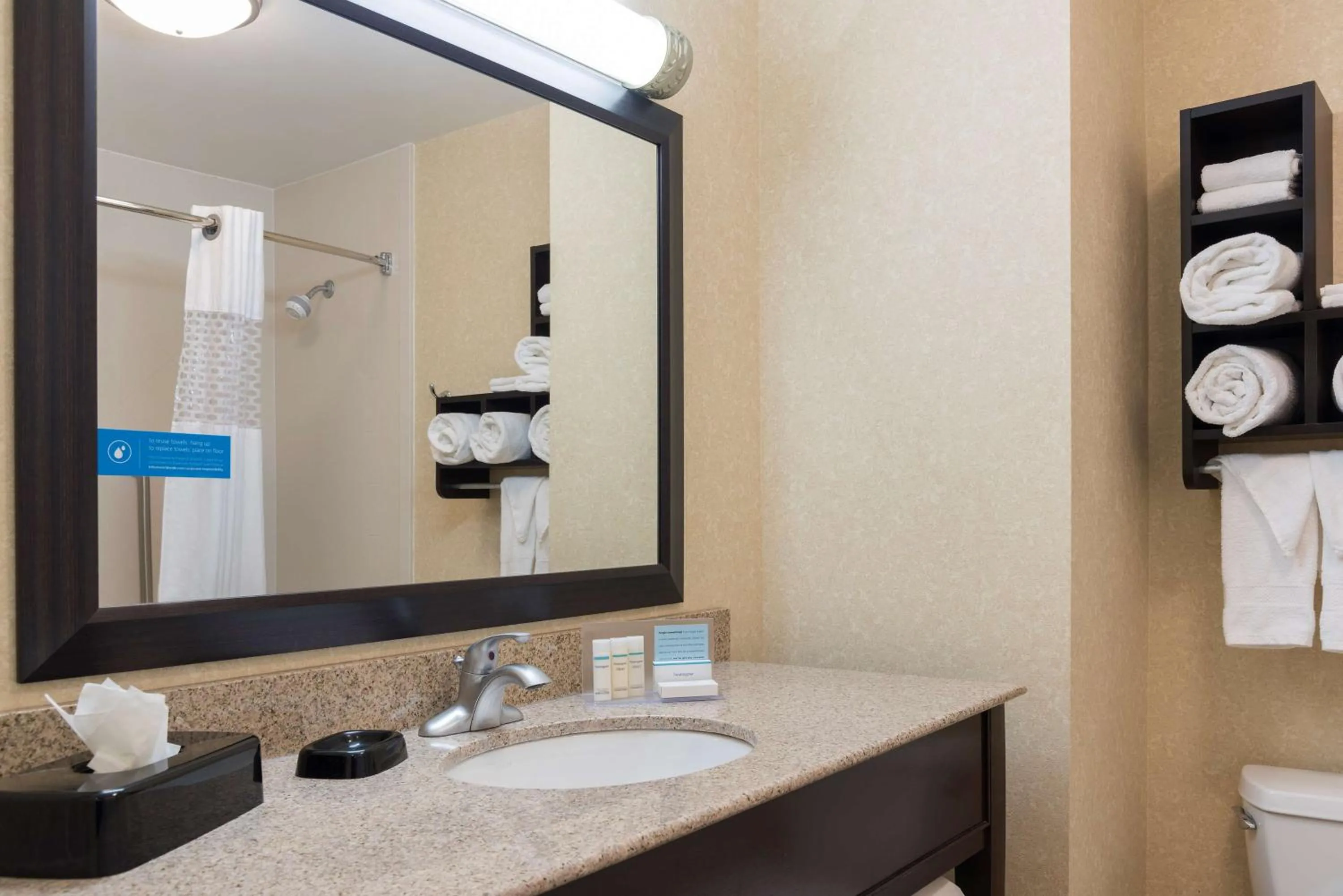 Bathroom in Hampton Inn Detroit Roseville
