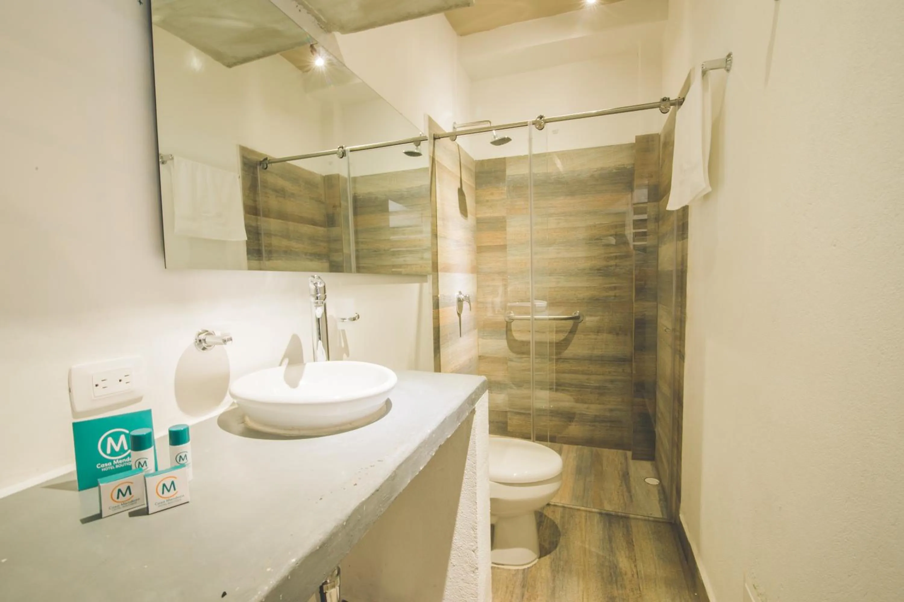 Toilet in Casa Mendoza Hotel Boutique