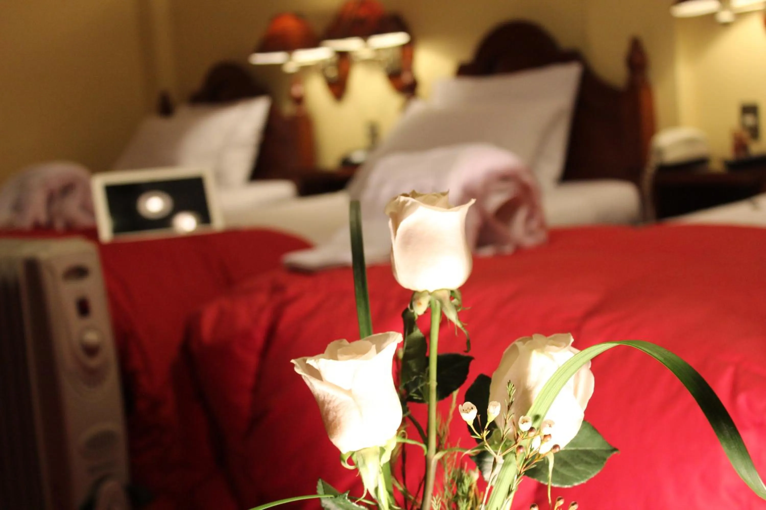Bedroom, Bed in Hotel Casona Colon Inn