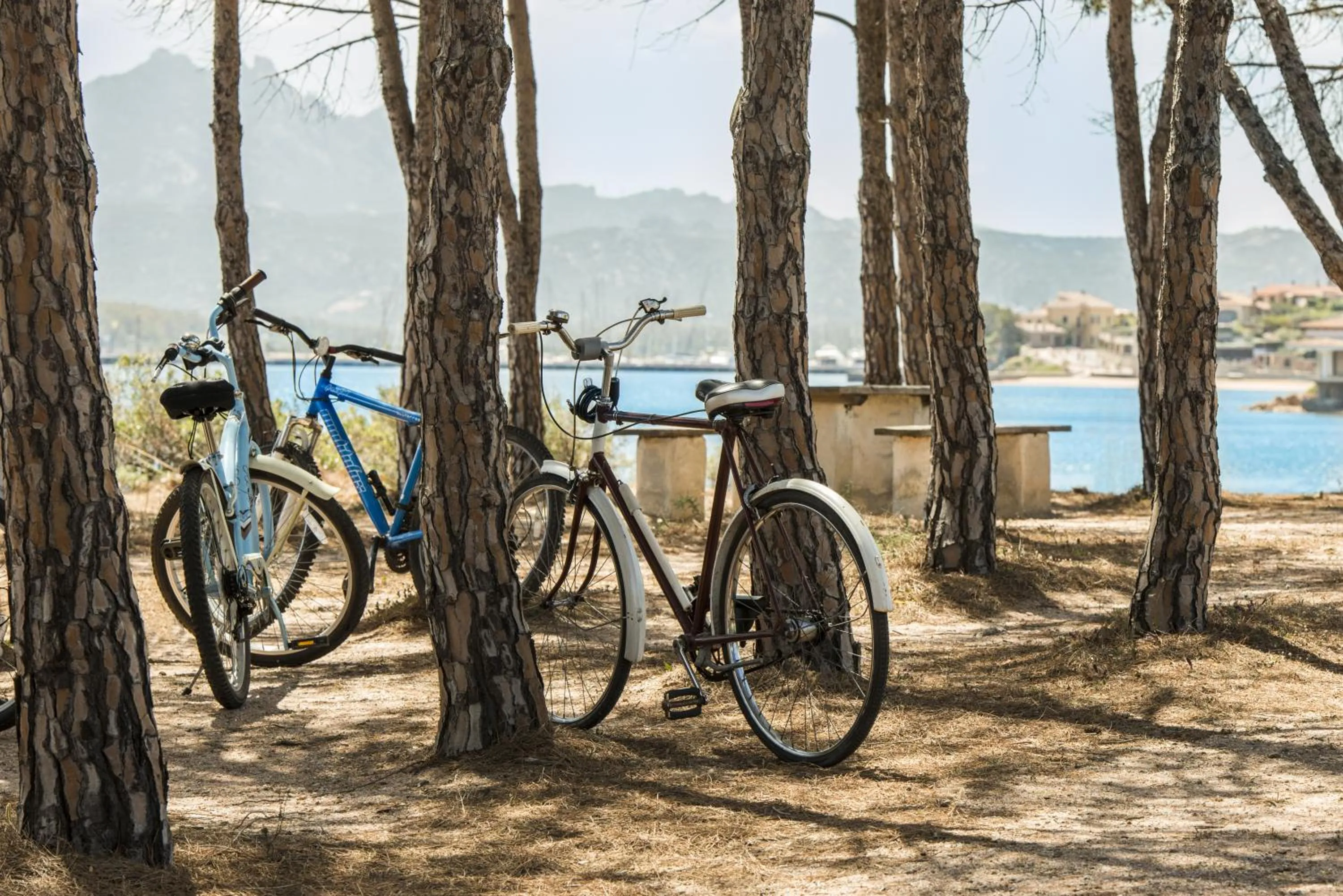 Nearby landmark in Hotel Pulicinu