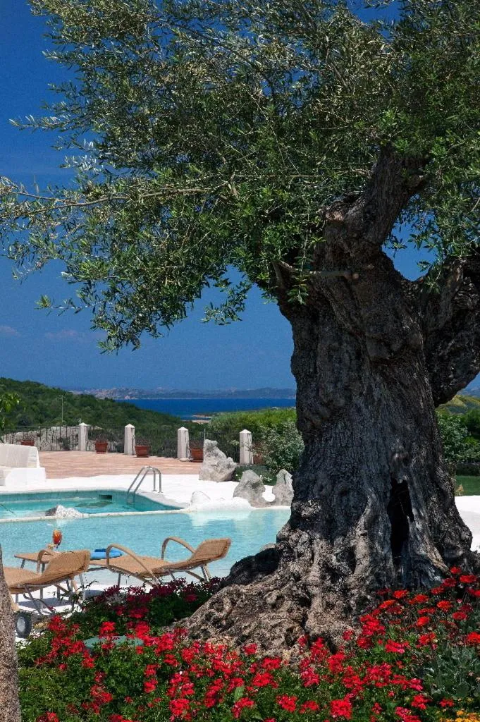 Swimming pool in Hotel Pulicinu