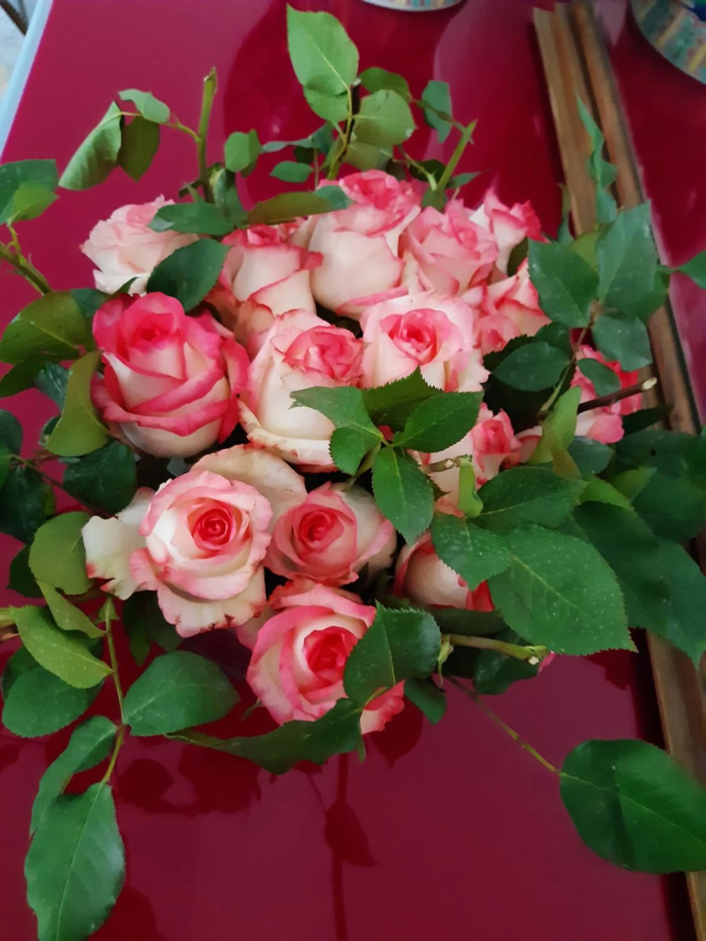 Decorative detail in CaraFe'&CaraSpe'