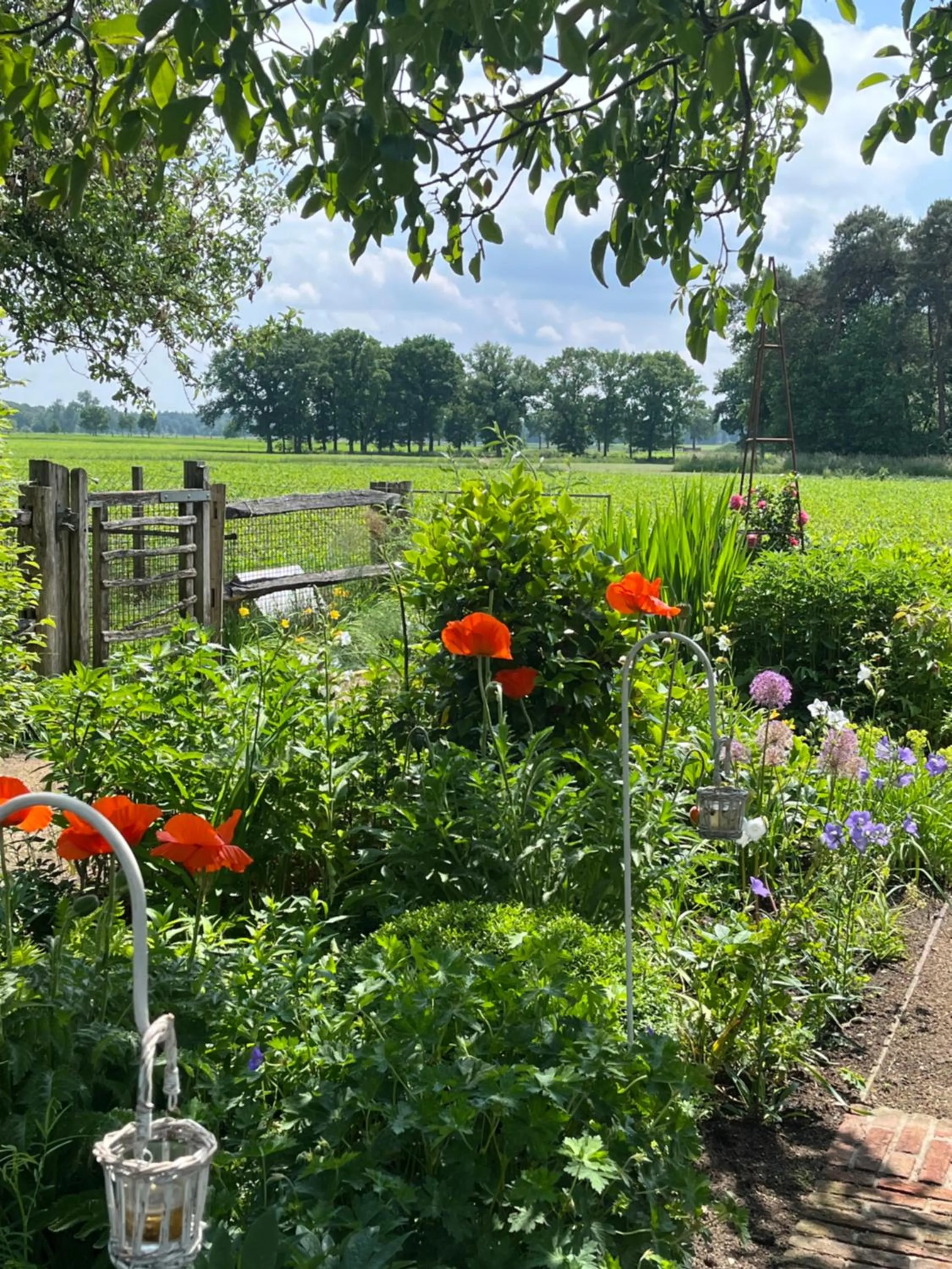 LOGIES Tuin der Zinnen