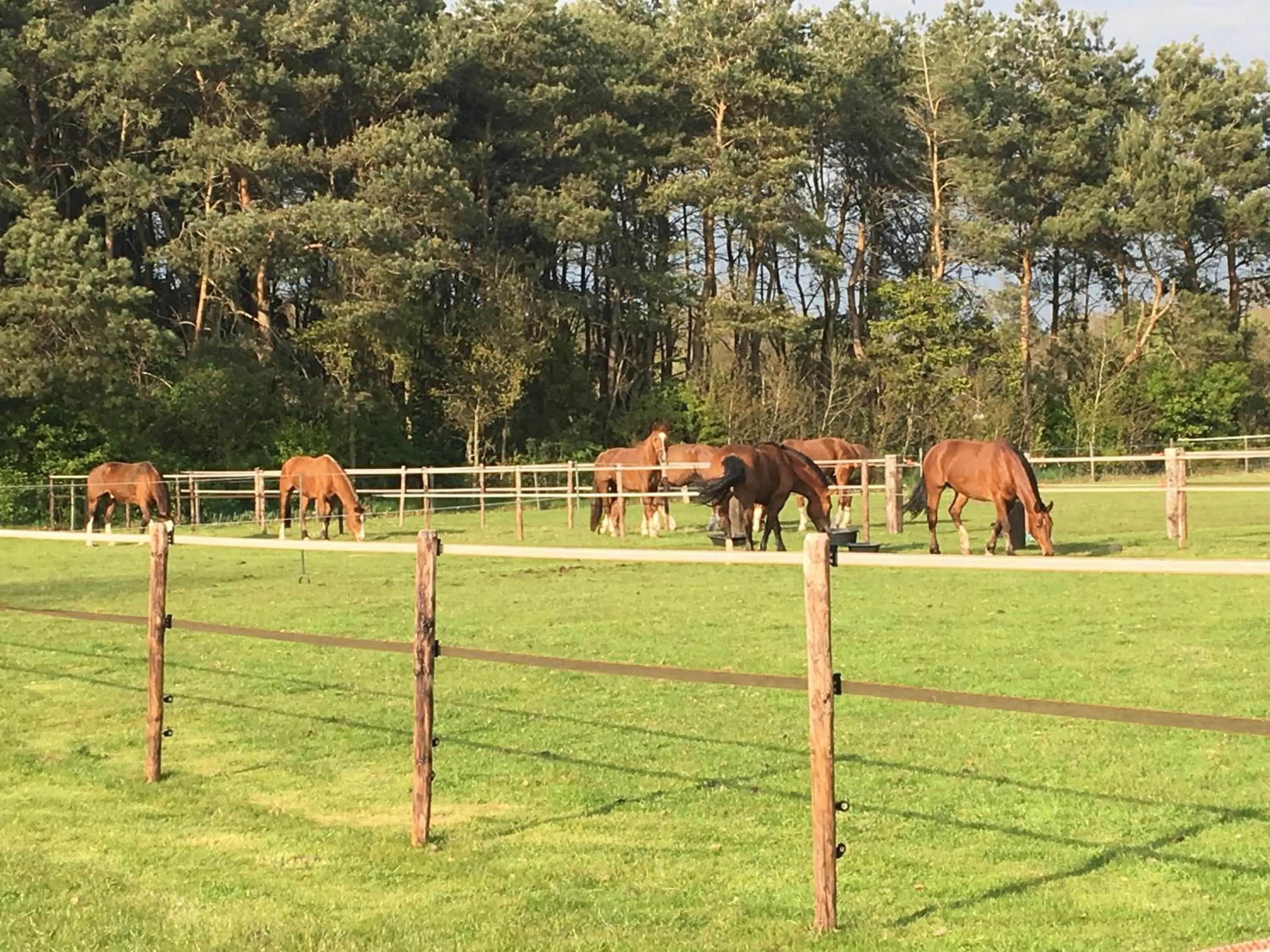 Natural landscape in LOGIES Tuin der Zinnen