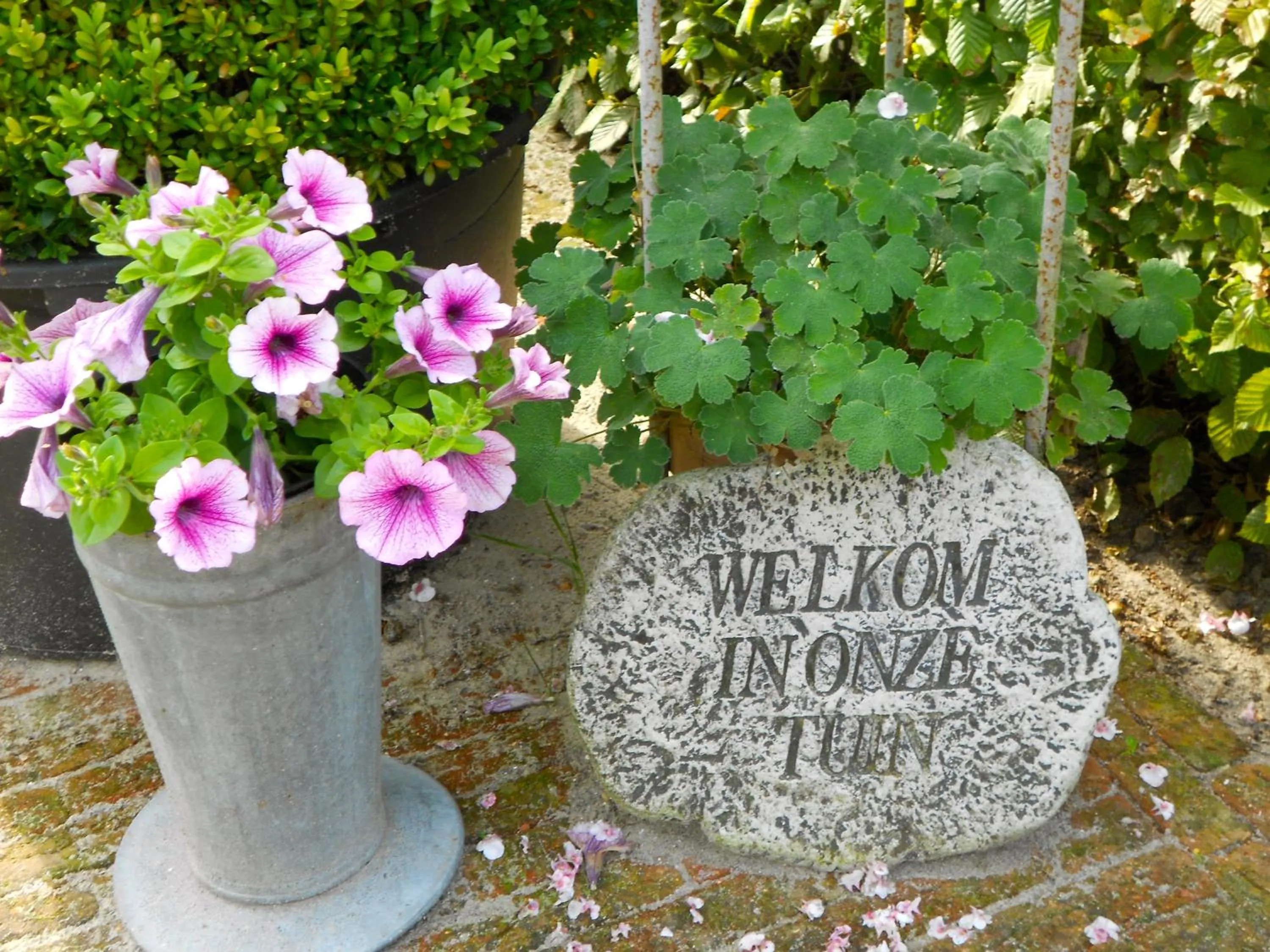 Garden in LOGIES Tuin der Zinnen