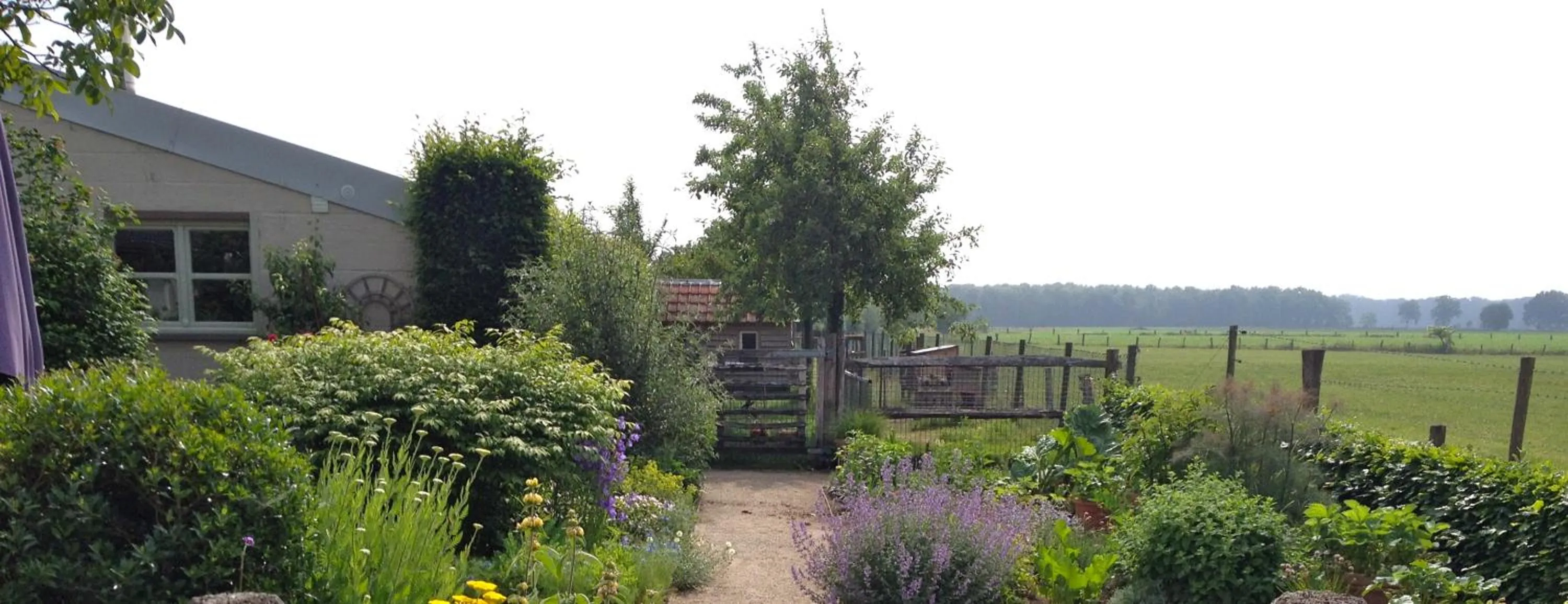 Garden in LOGIES Tuin der Zinnen