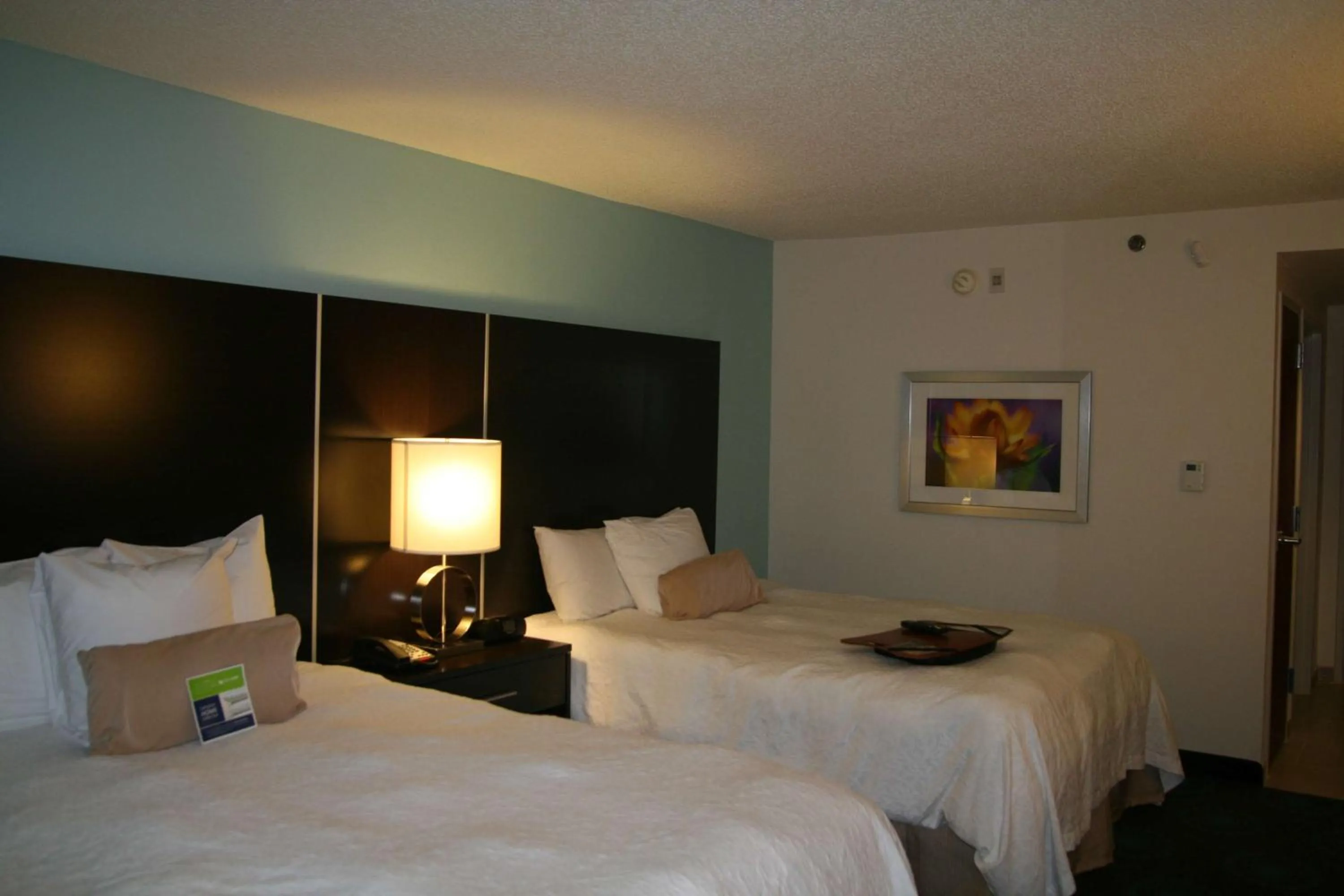 Bed in Hampton Inn Shreveport-Airport