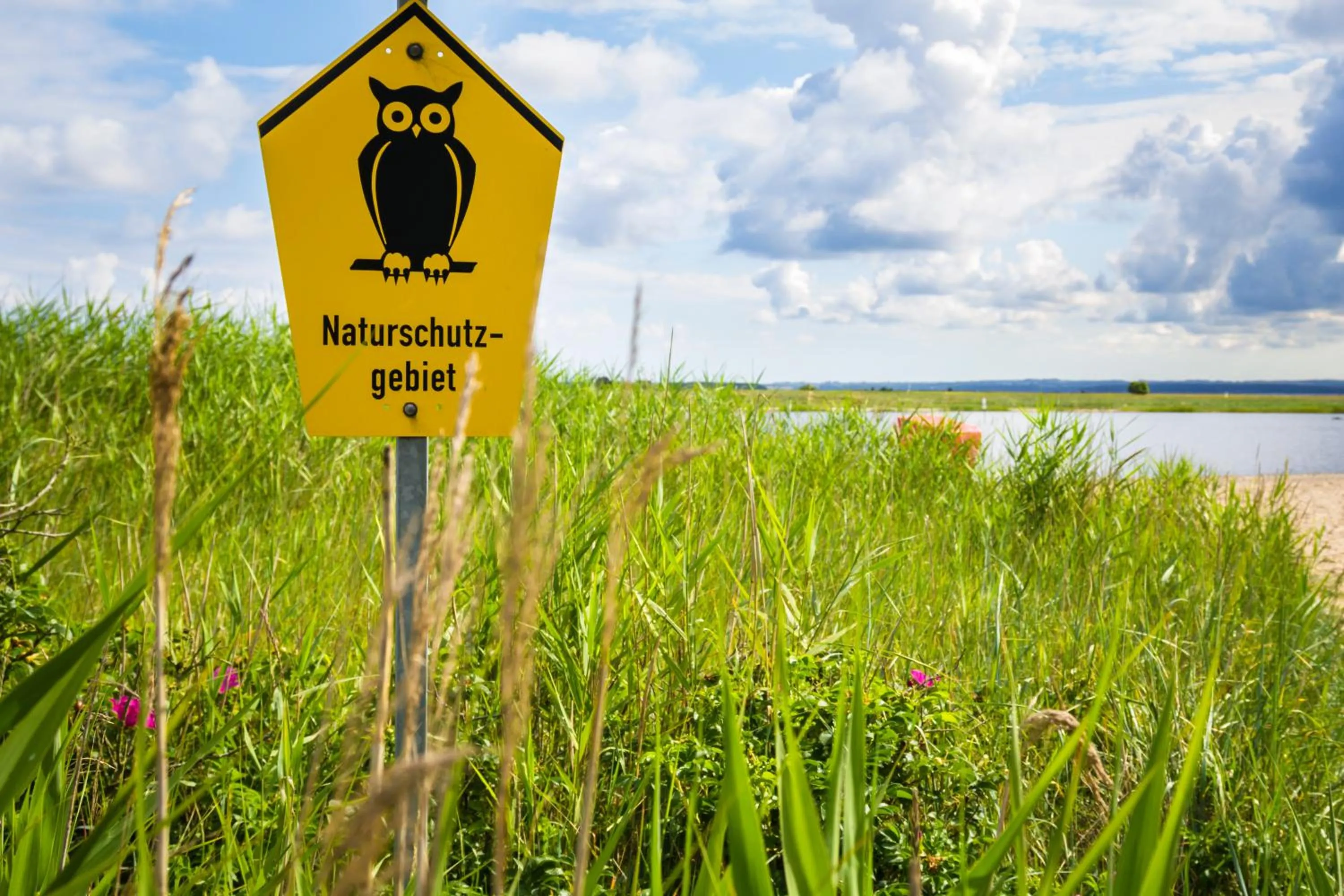 View (from property/room) in Inselhotel Poel