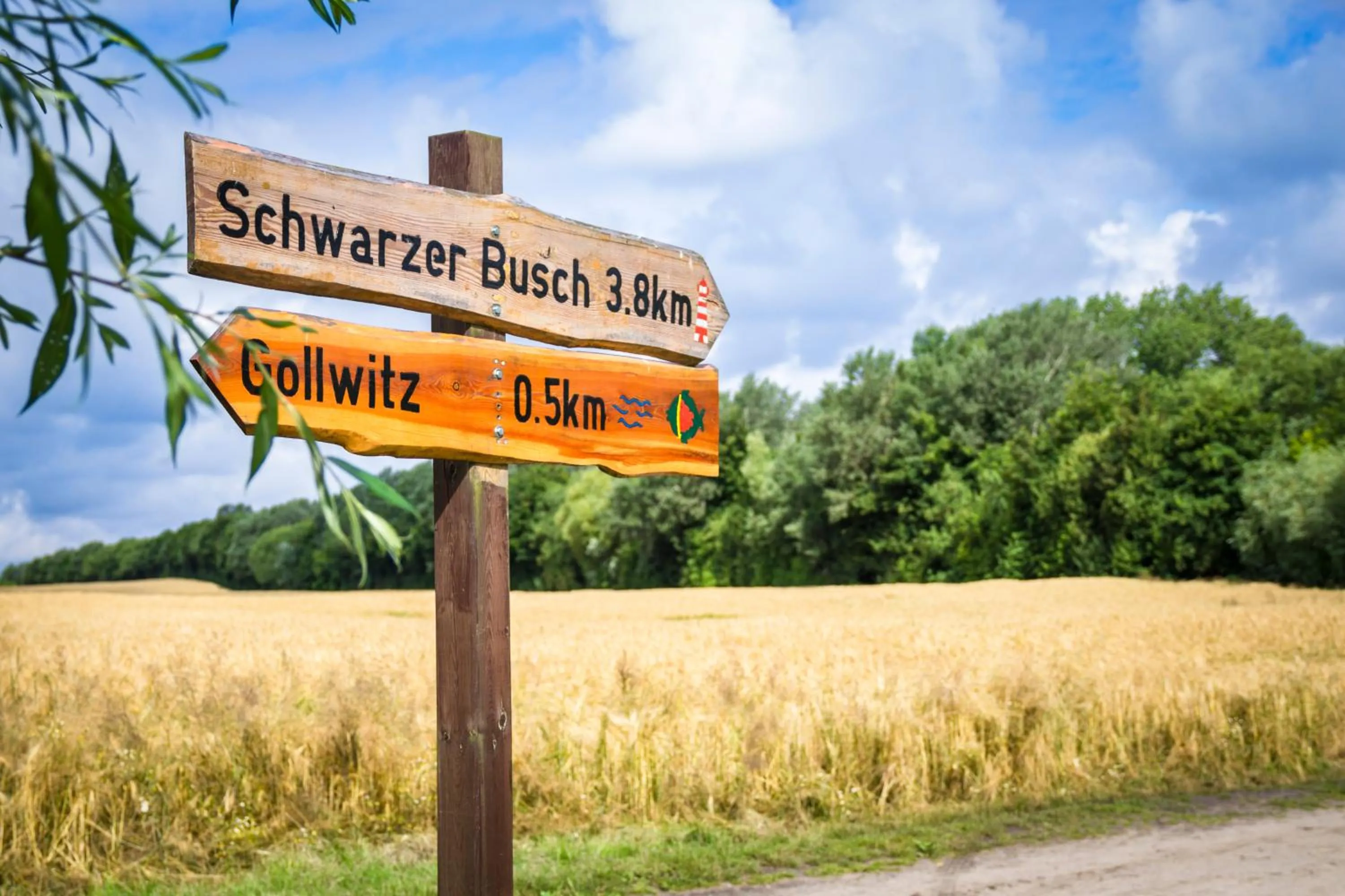 Natural landscape in Inselhotel Poel