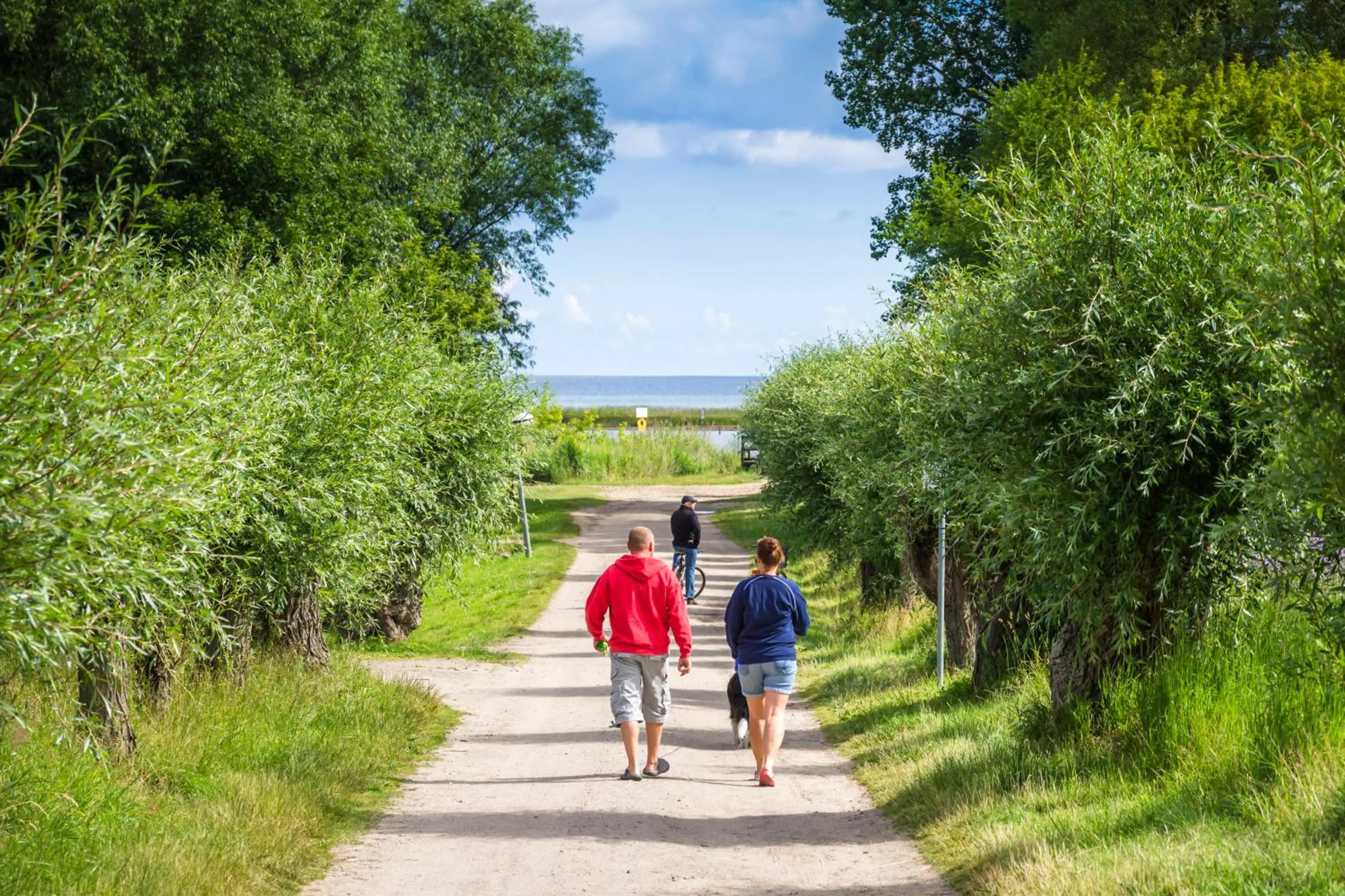 Natural landscape in Inselhotel Poel