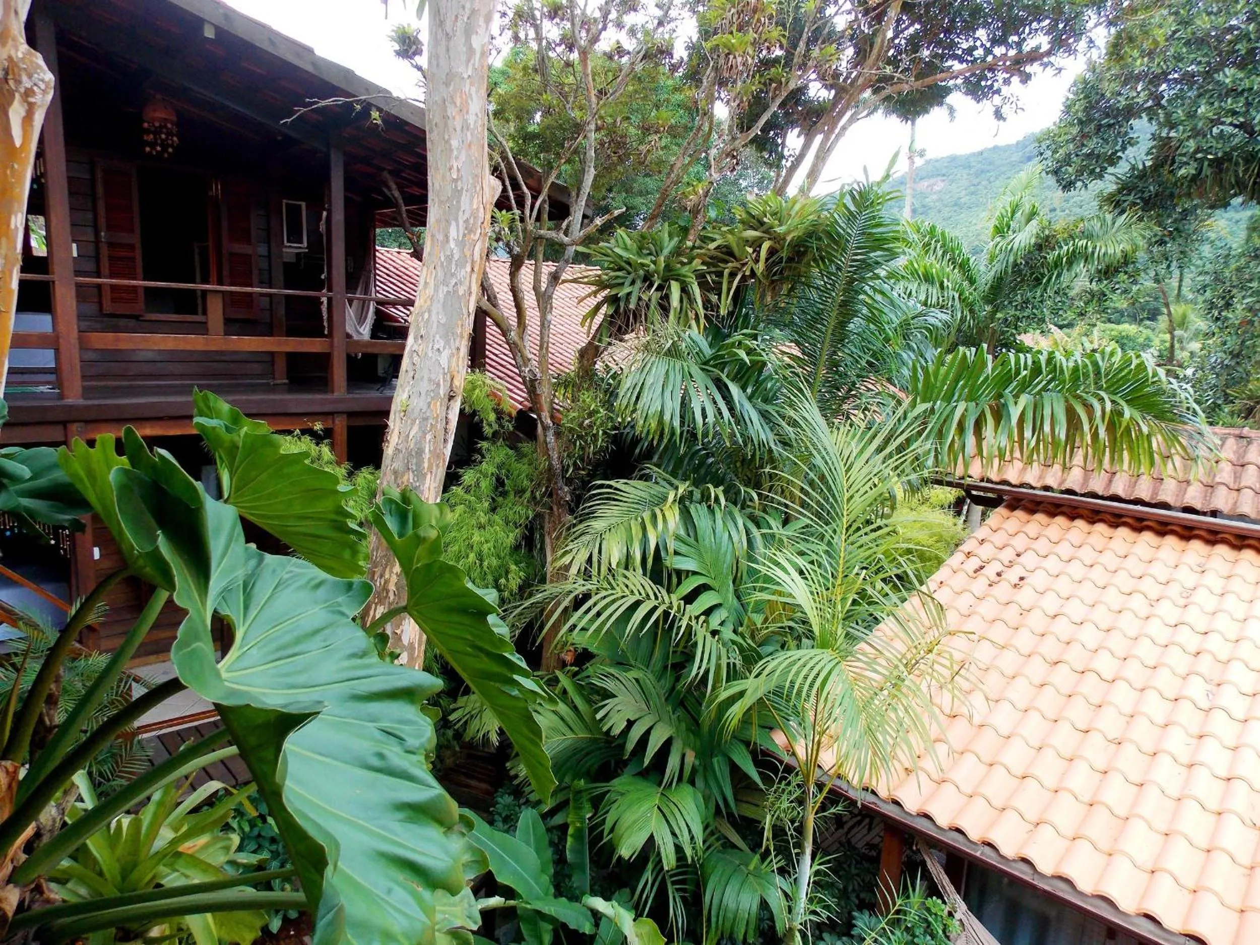 View (from property/room) in Pousada Riacho Dos Cambucas