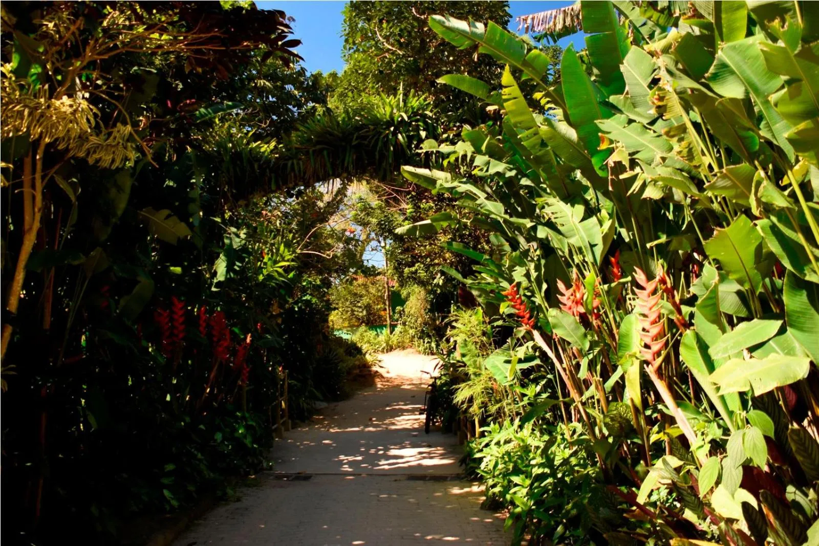 Garden in Pousada Riacho Dos Cambucas