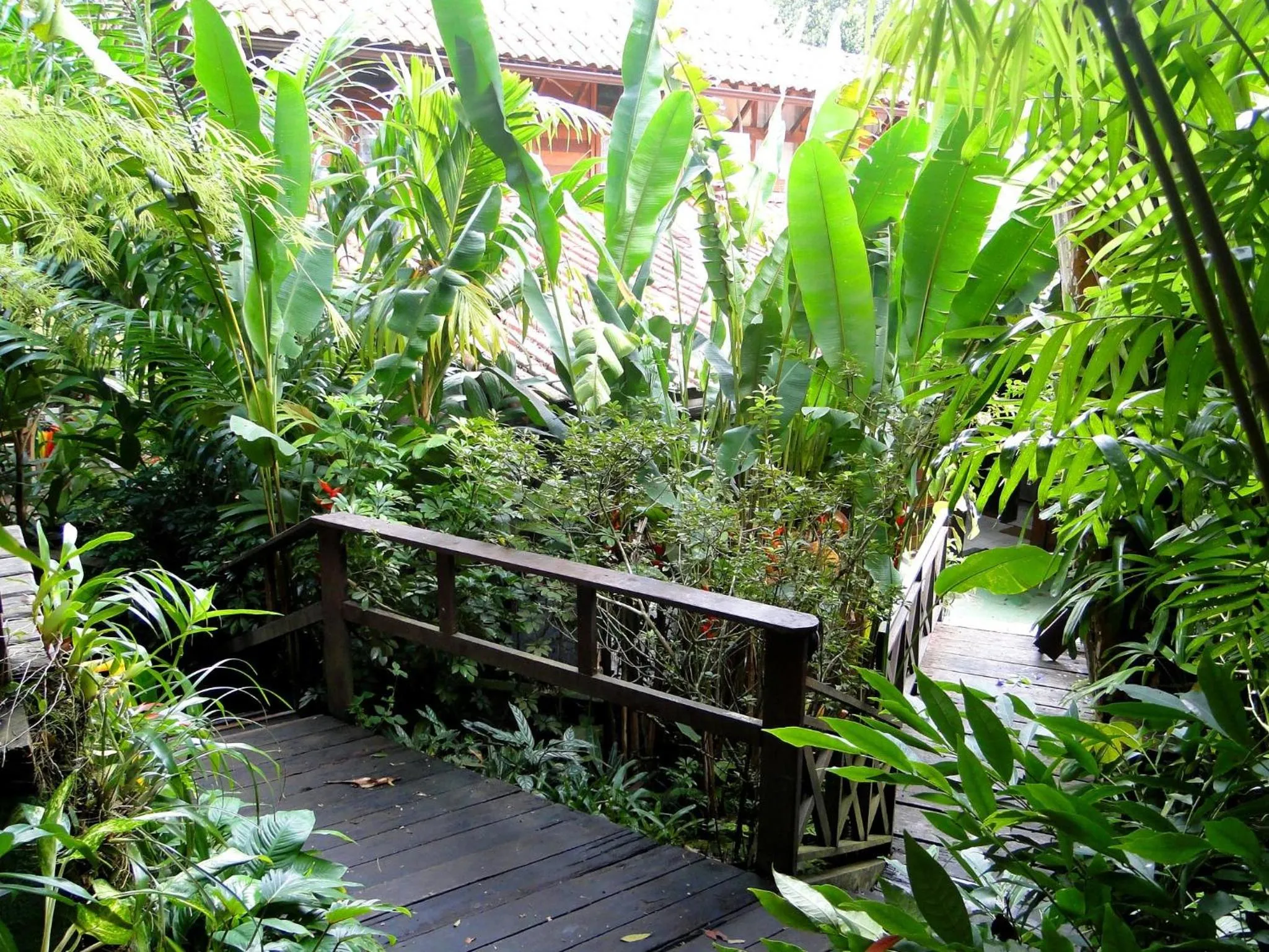 Garden in Pousada Riacho Dos Cambucas