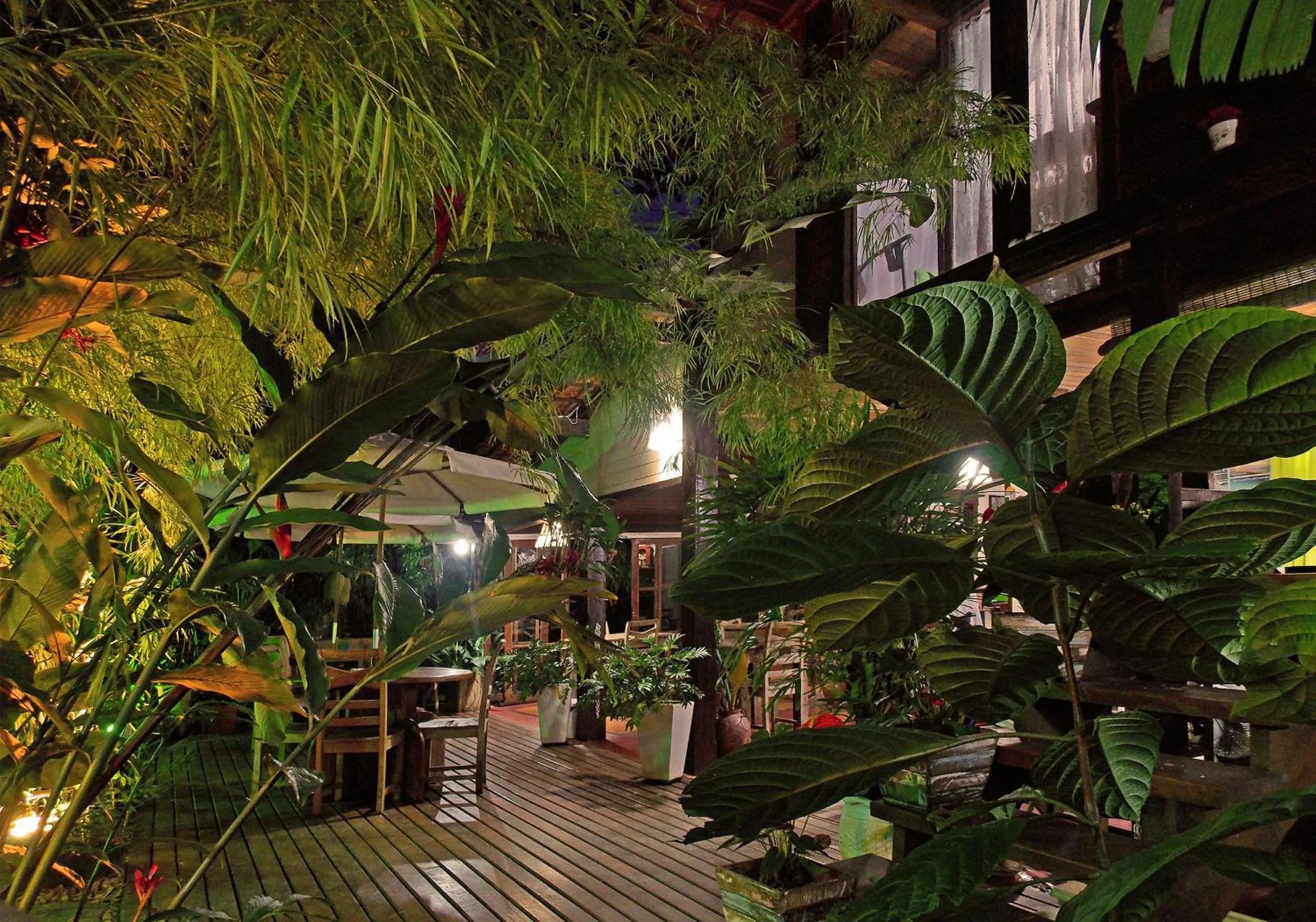 View (from property/room) in Pousada Riacho Dos Cambucas