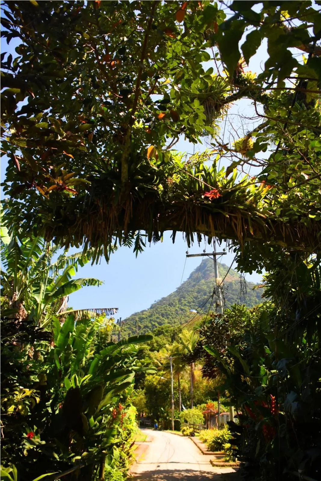 Garden in Pousada Riacho Dos Cambucas