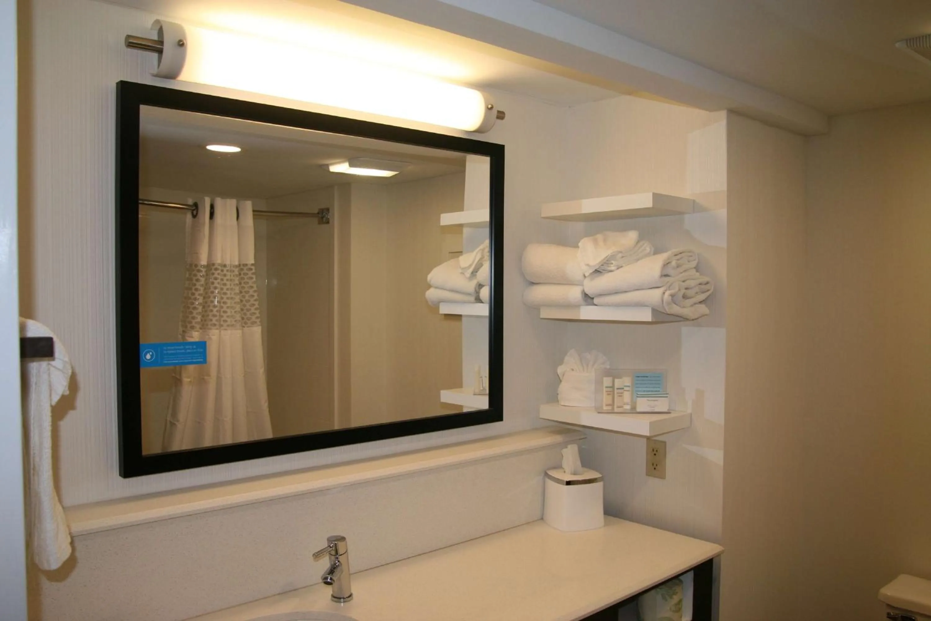 Bathroom in Hampton Inn Birch Run