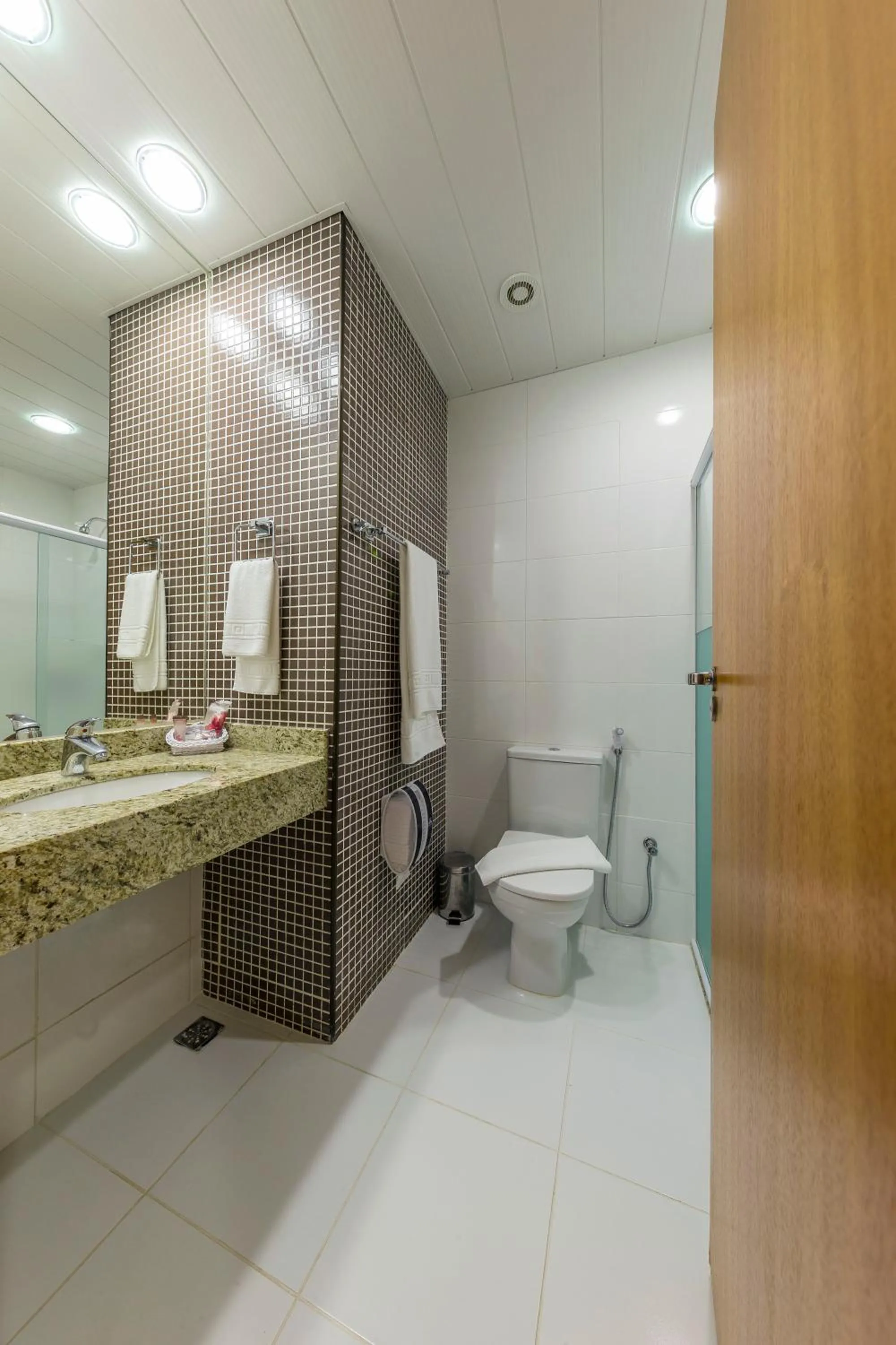 Shower in Hotel Thomasi Express