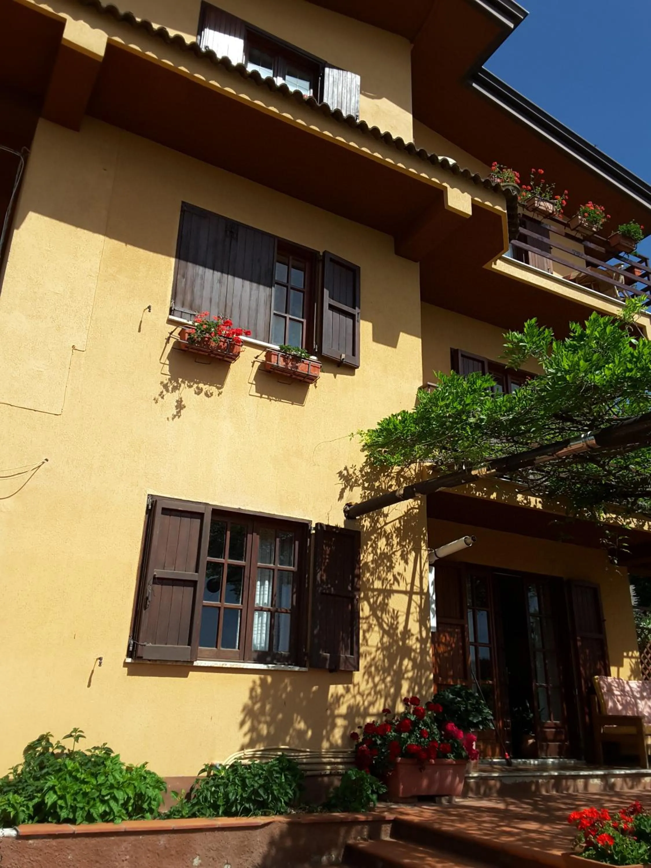 Property building in mansarda fiorita