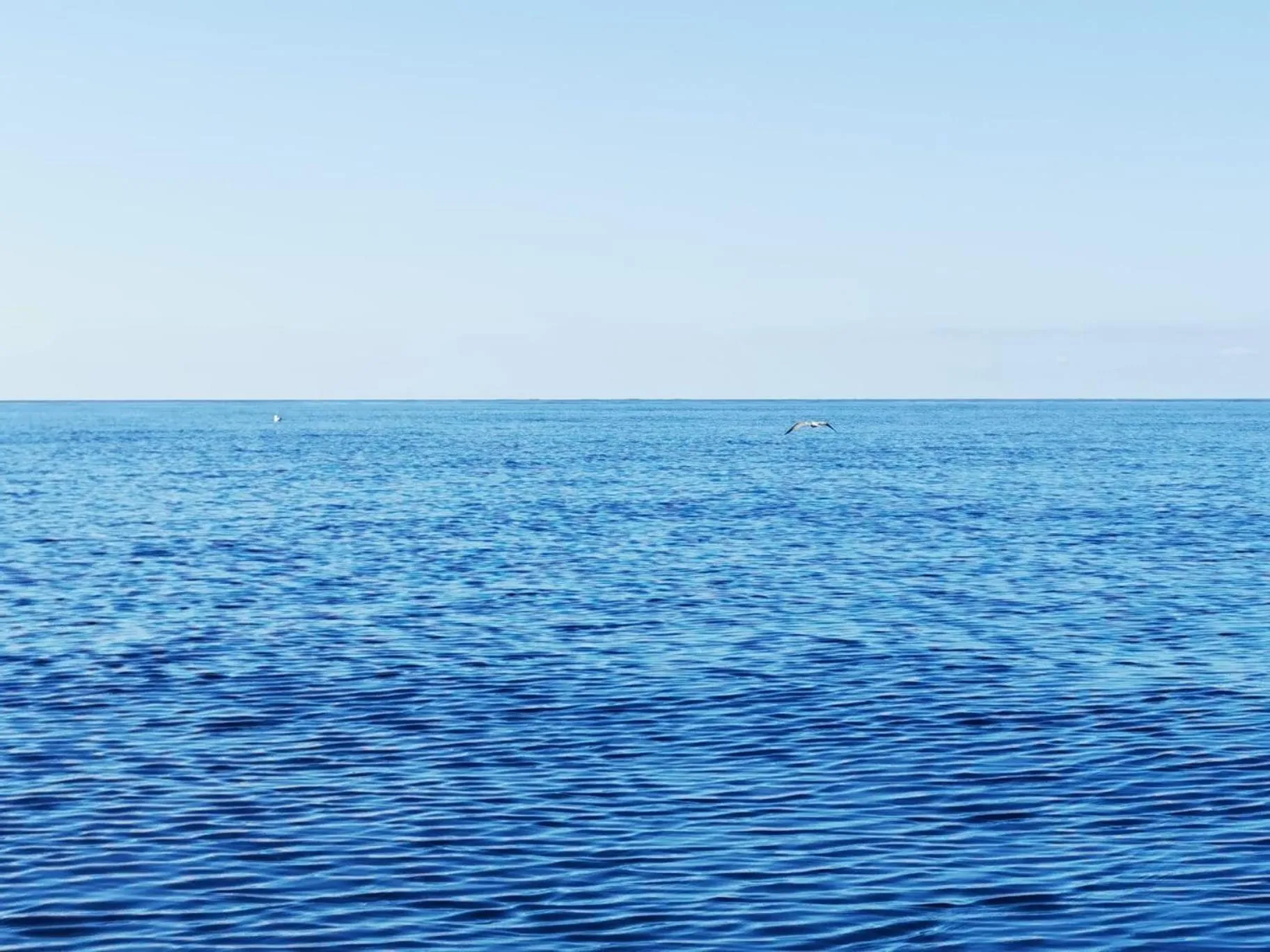 Natural landscape in mansarda fiorita