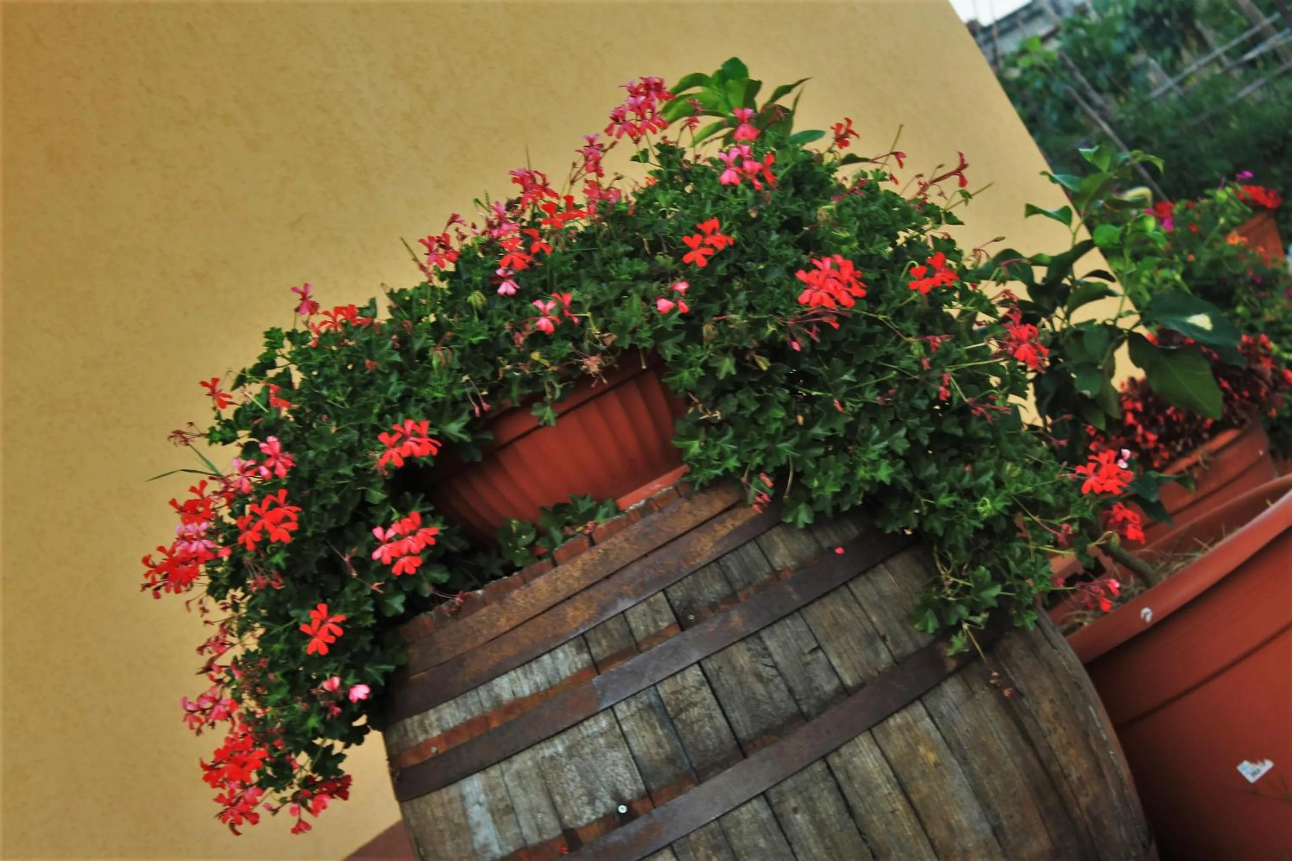 Facade/entrance in mansarda fiorita