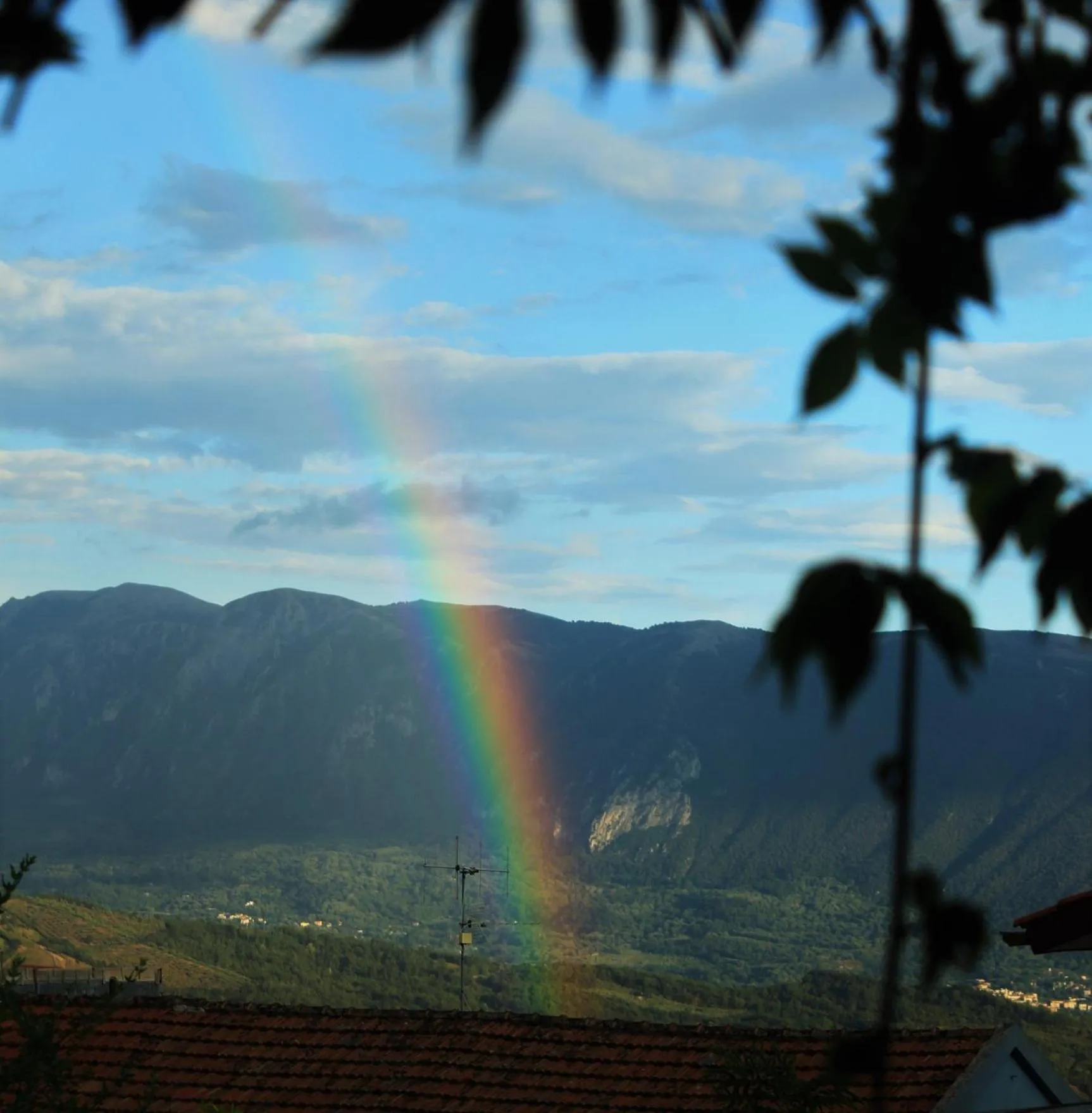 Natural landscape in mansarda fiorita