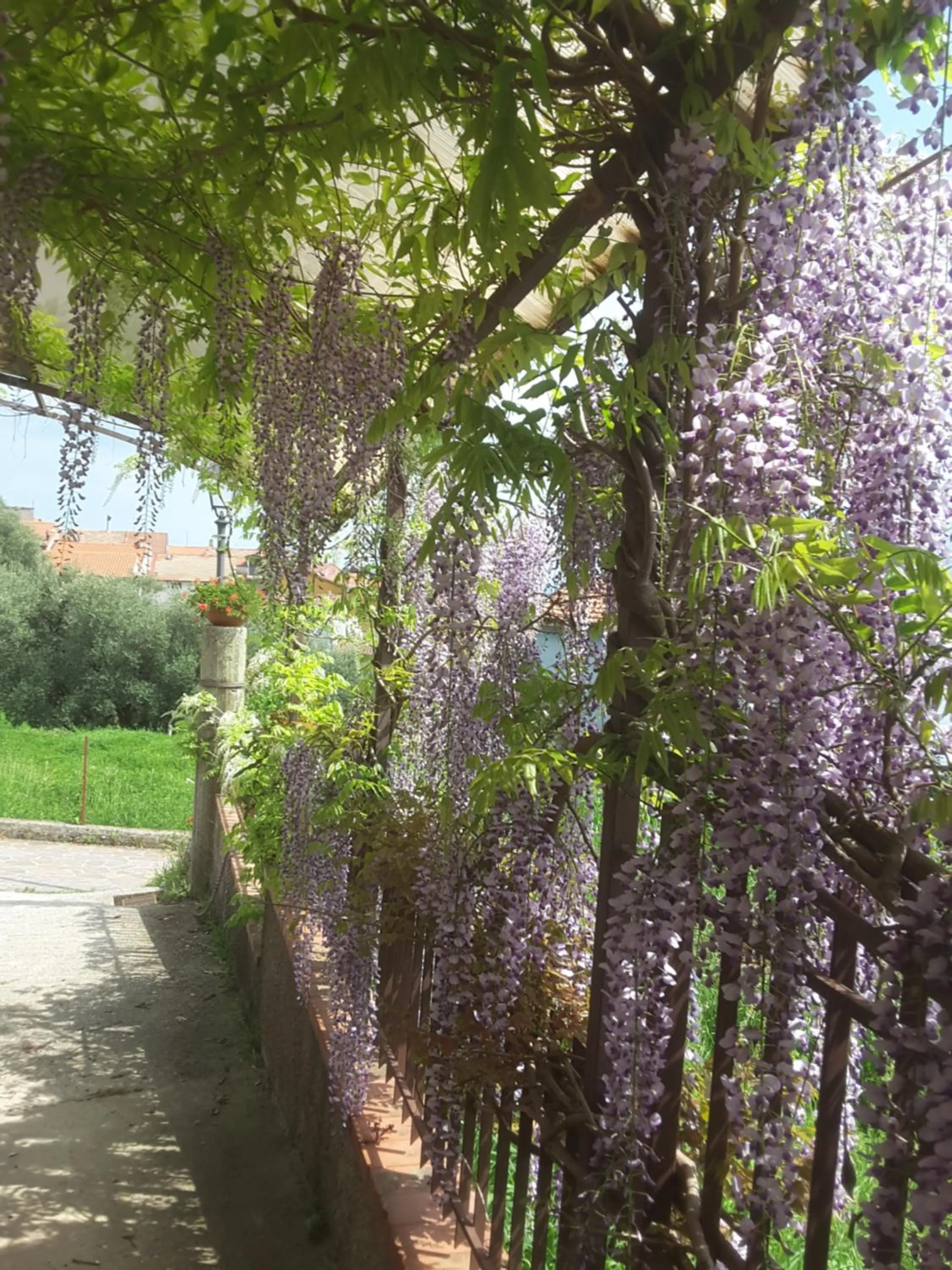 Garden in mansarda fiorita