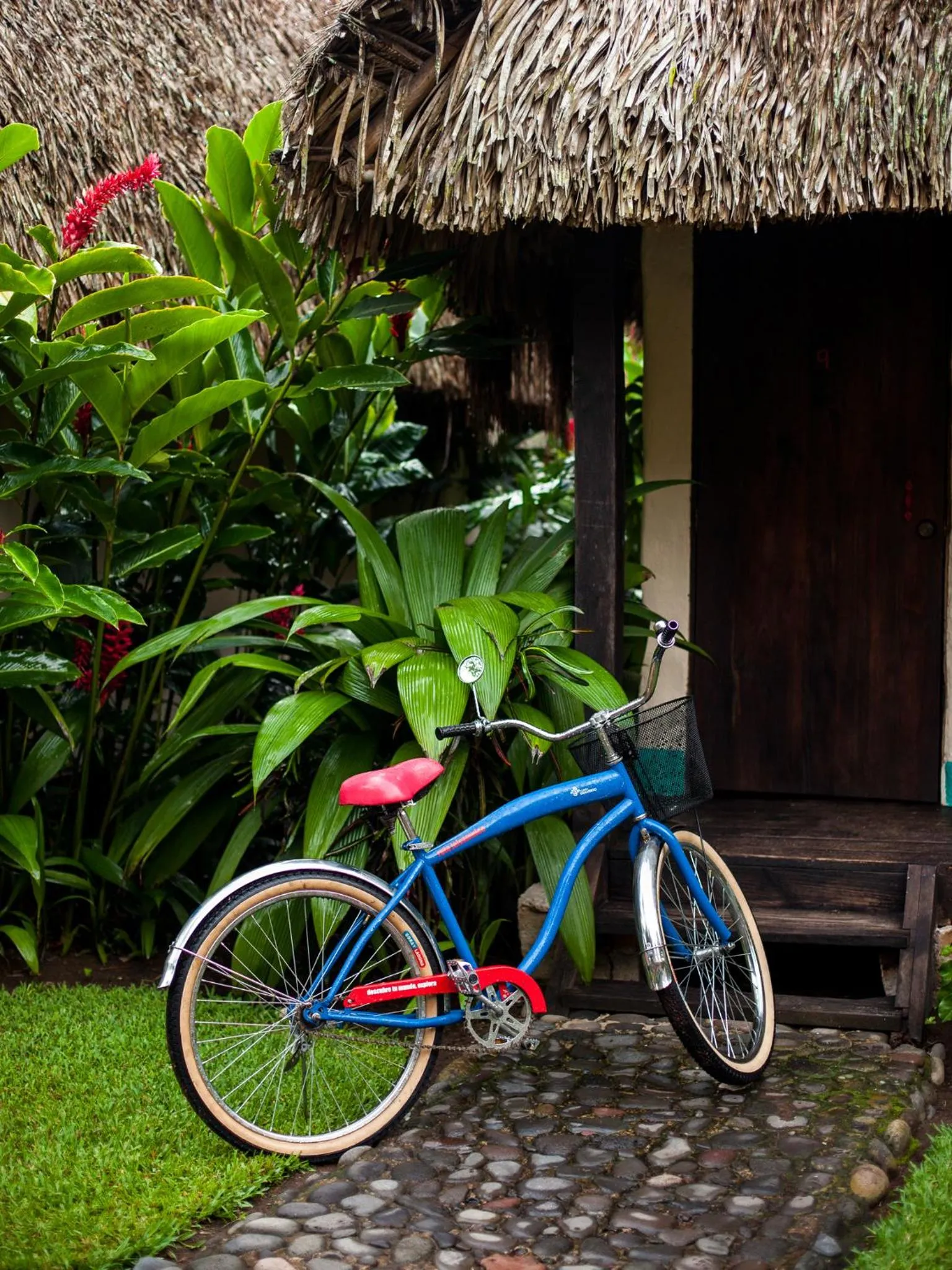 Activities in Picocanoa Rodavento