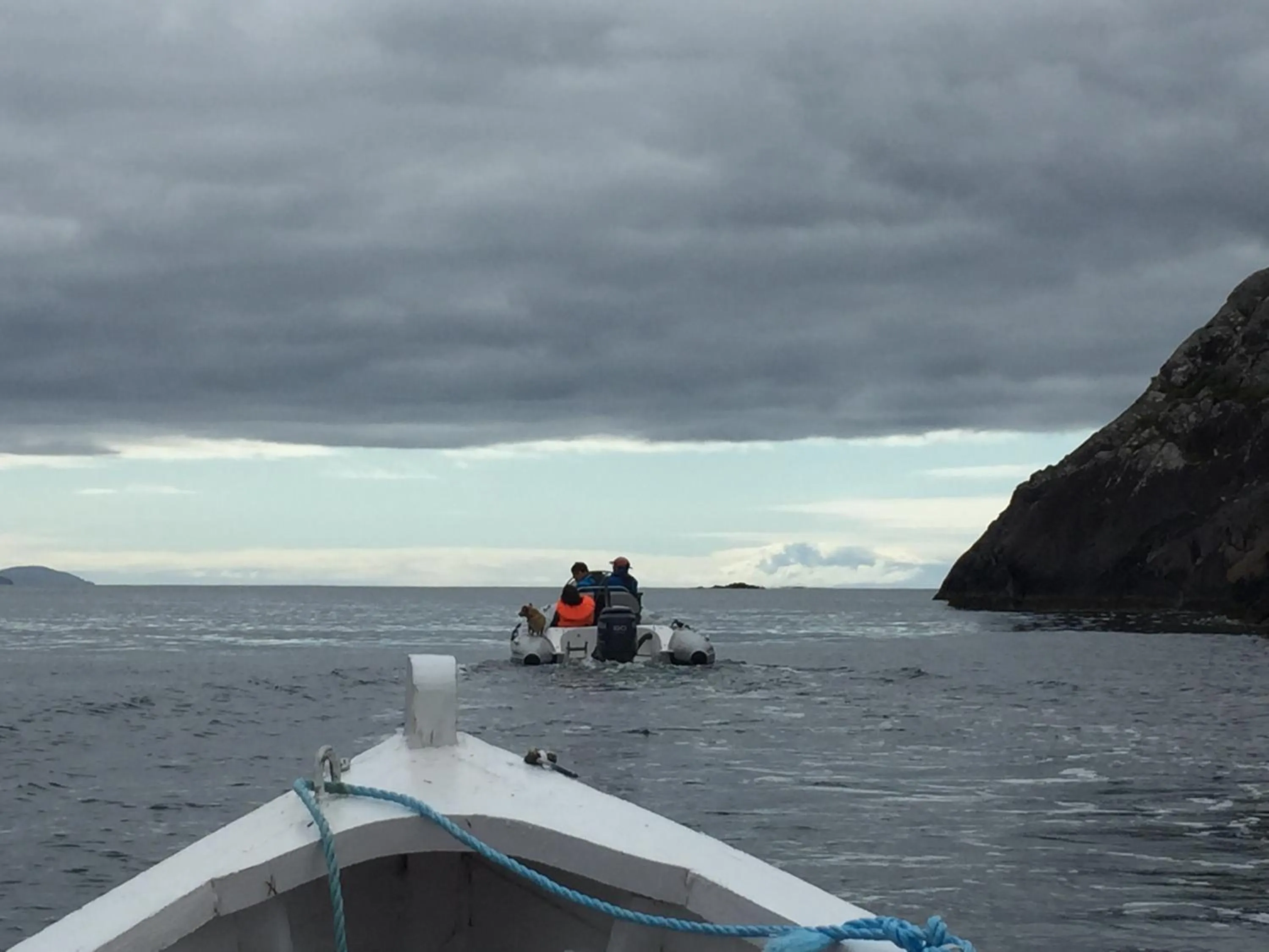 Natural landscape in Álaind Lodges, Sneem
