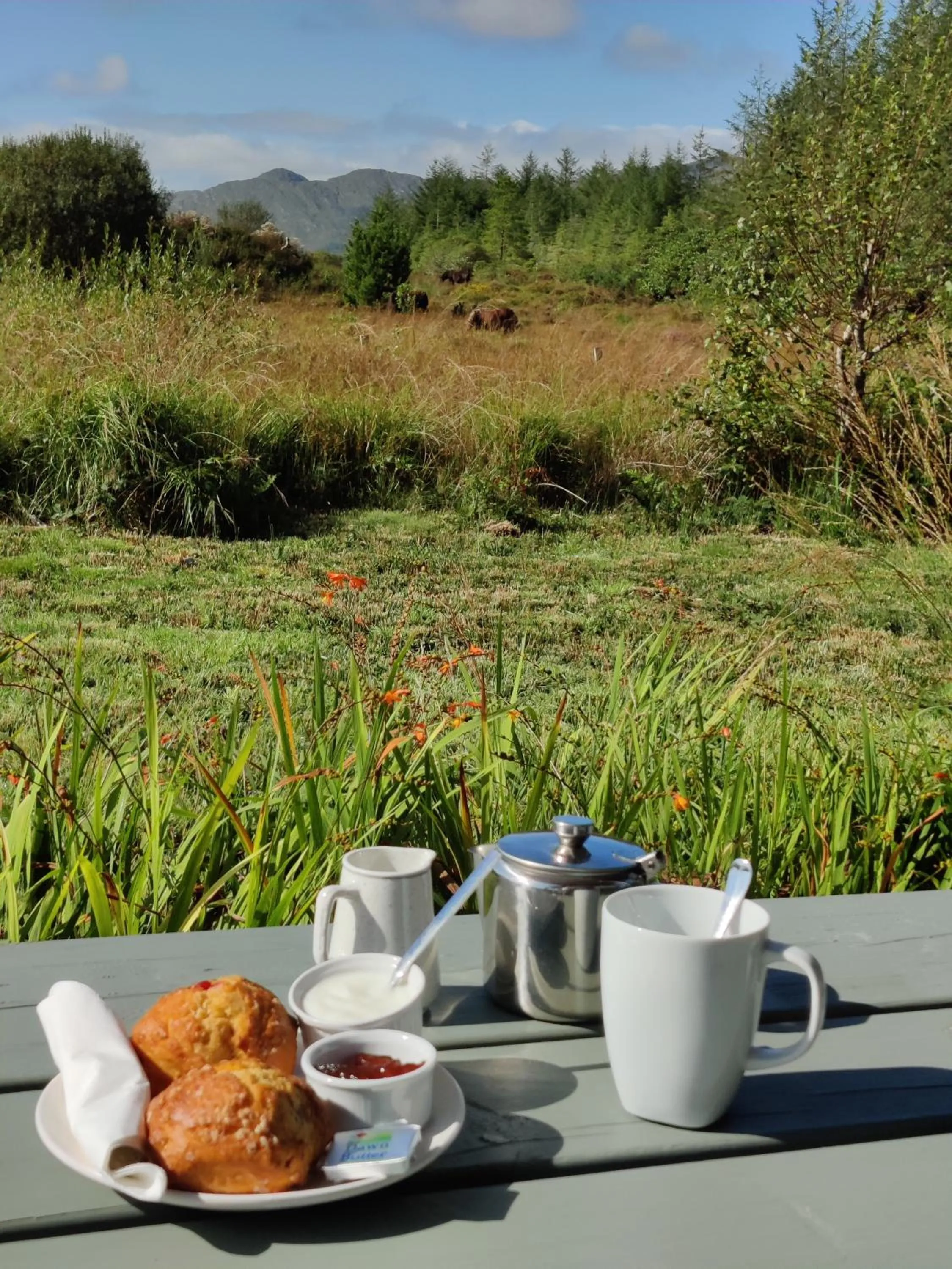 Natural landscape in Álaind Lodges, Sneem
