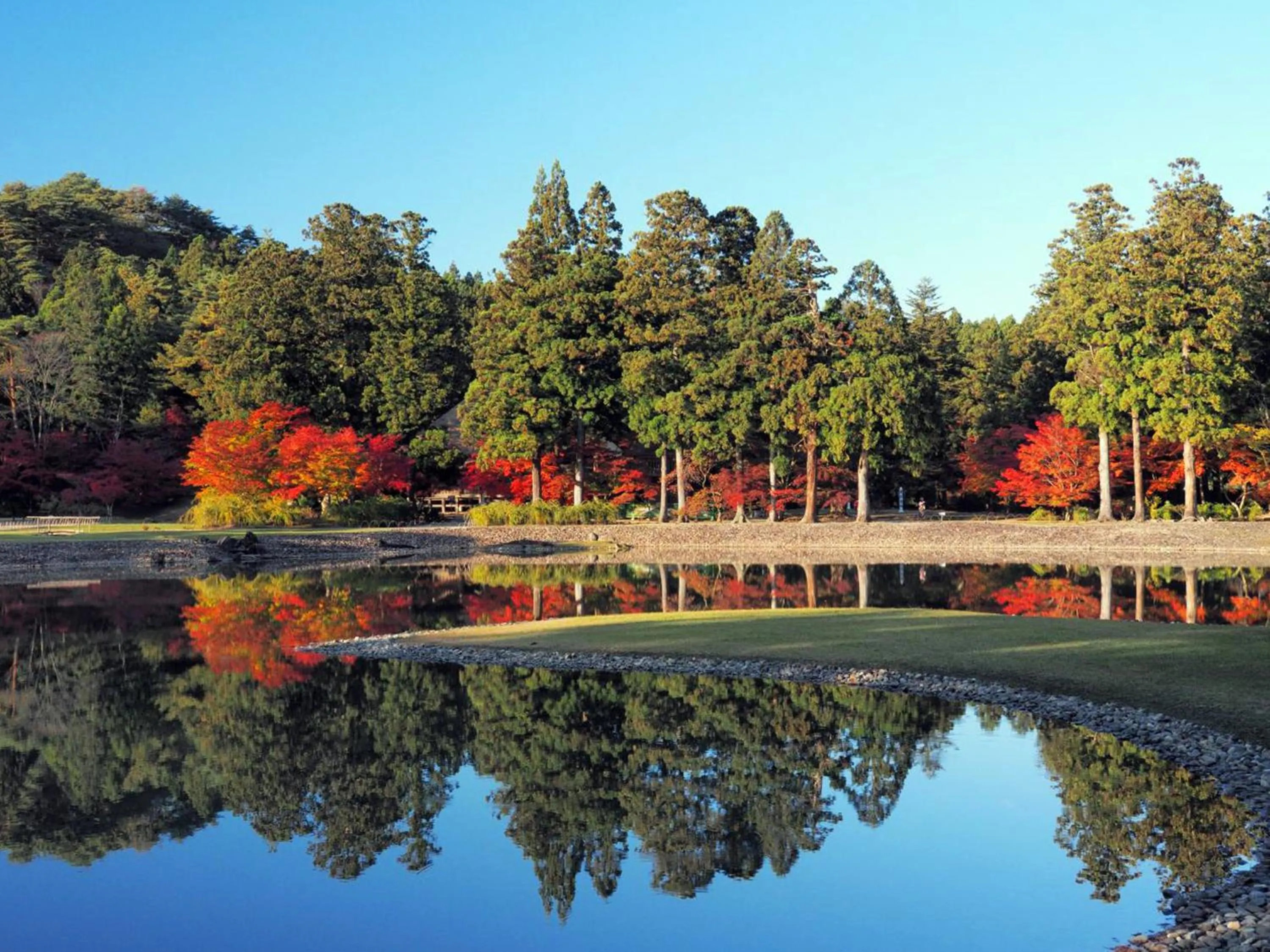 Day in Hotel Green Mark