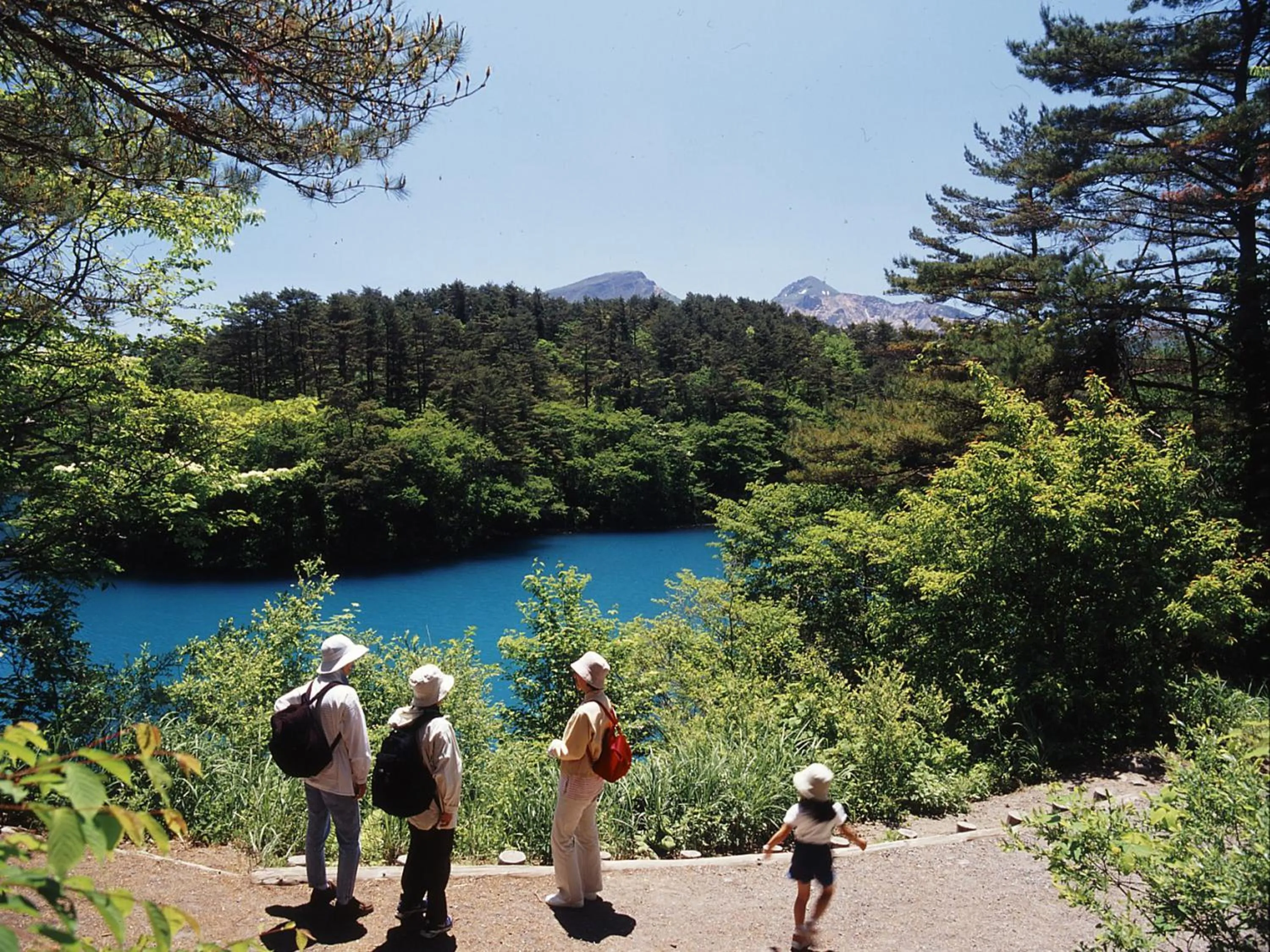 Day in Hotel Green Mark