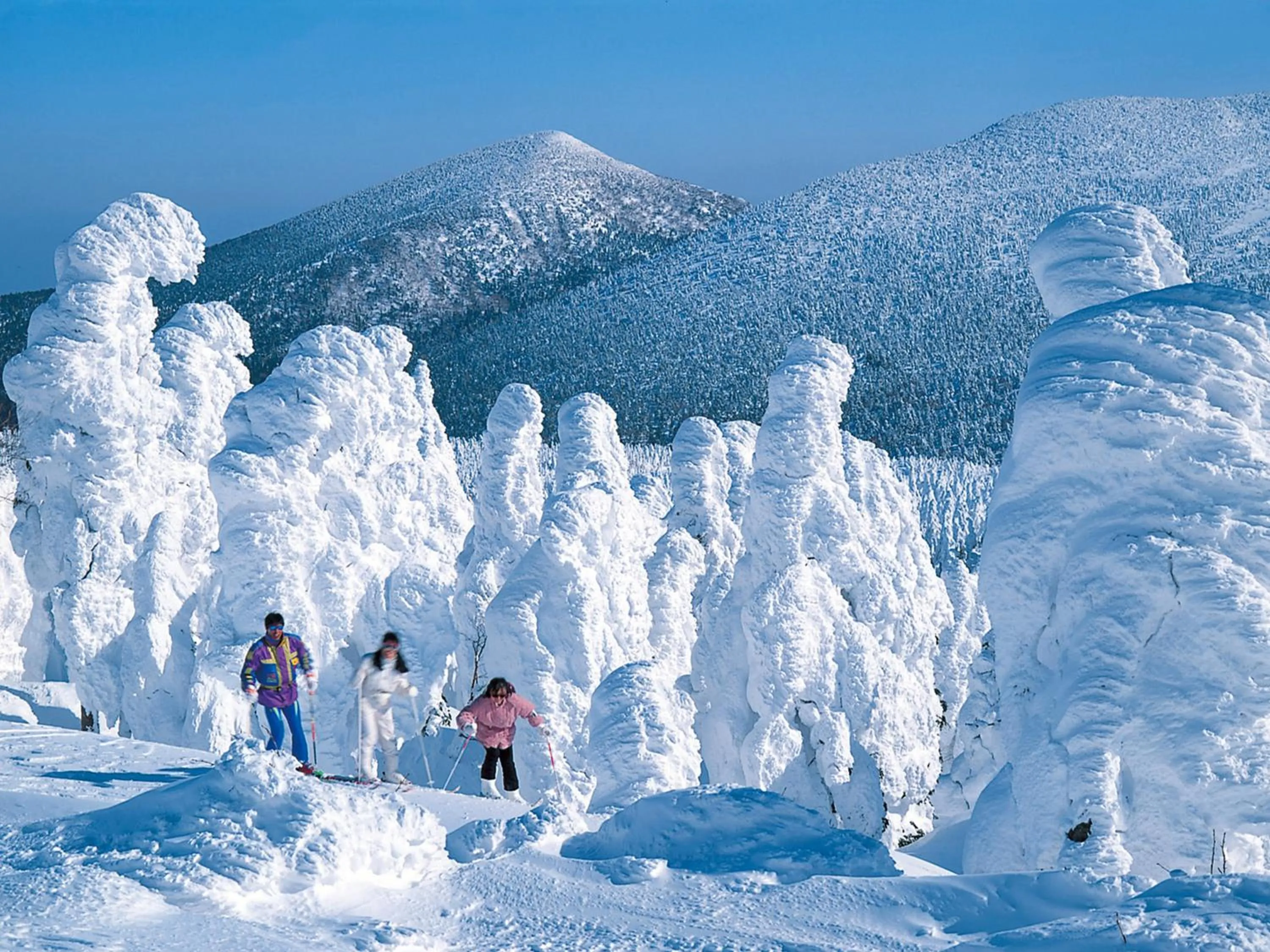 Location in Hotel Green Mark