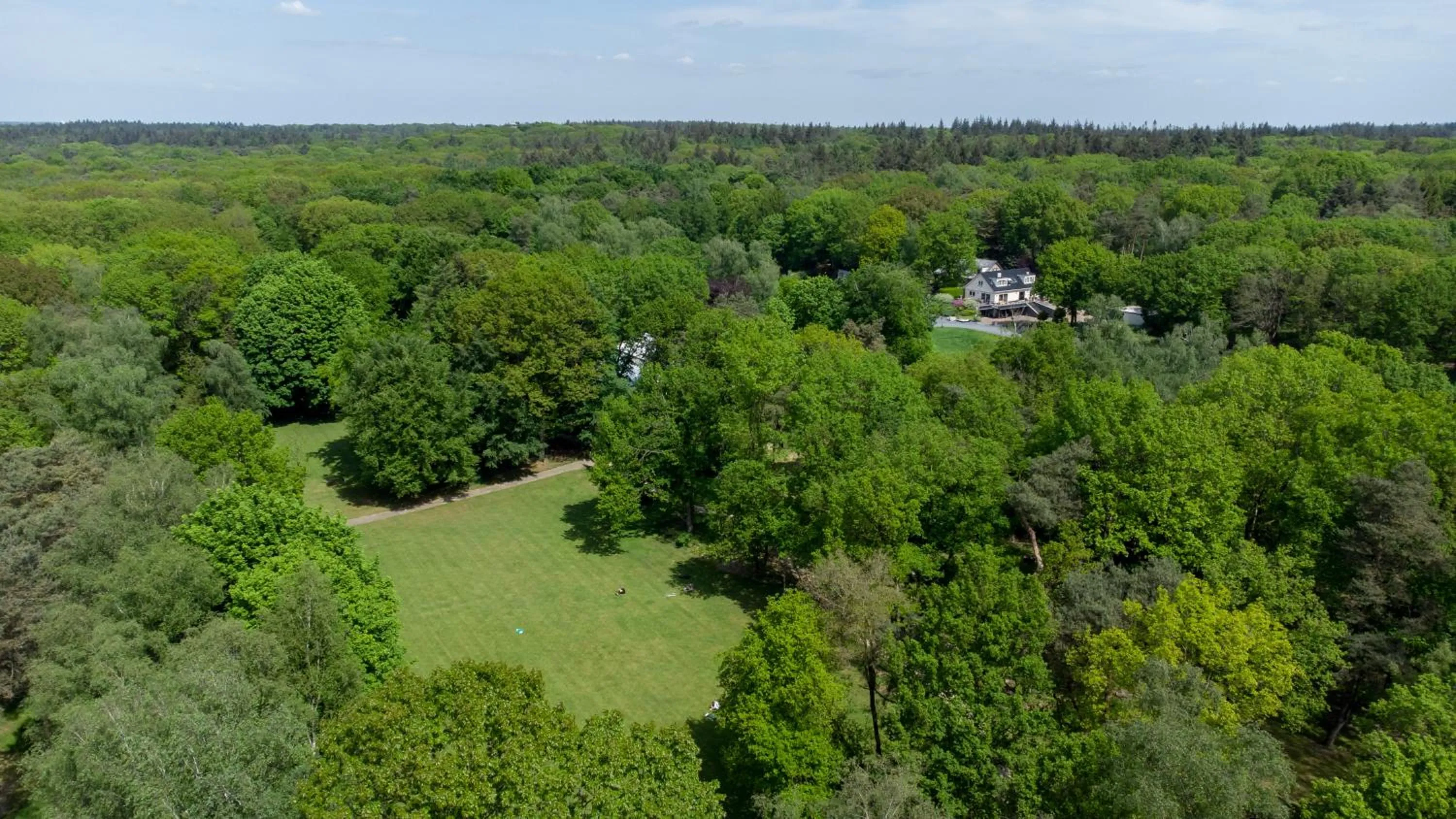 Area and facilities in 50|50 Hotel Belmont