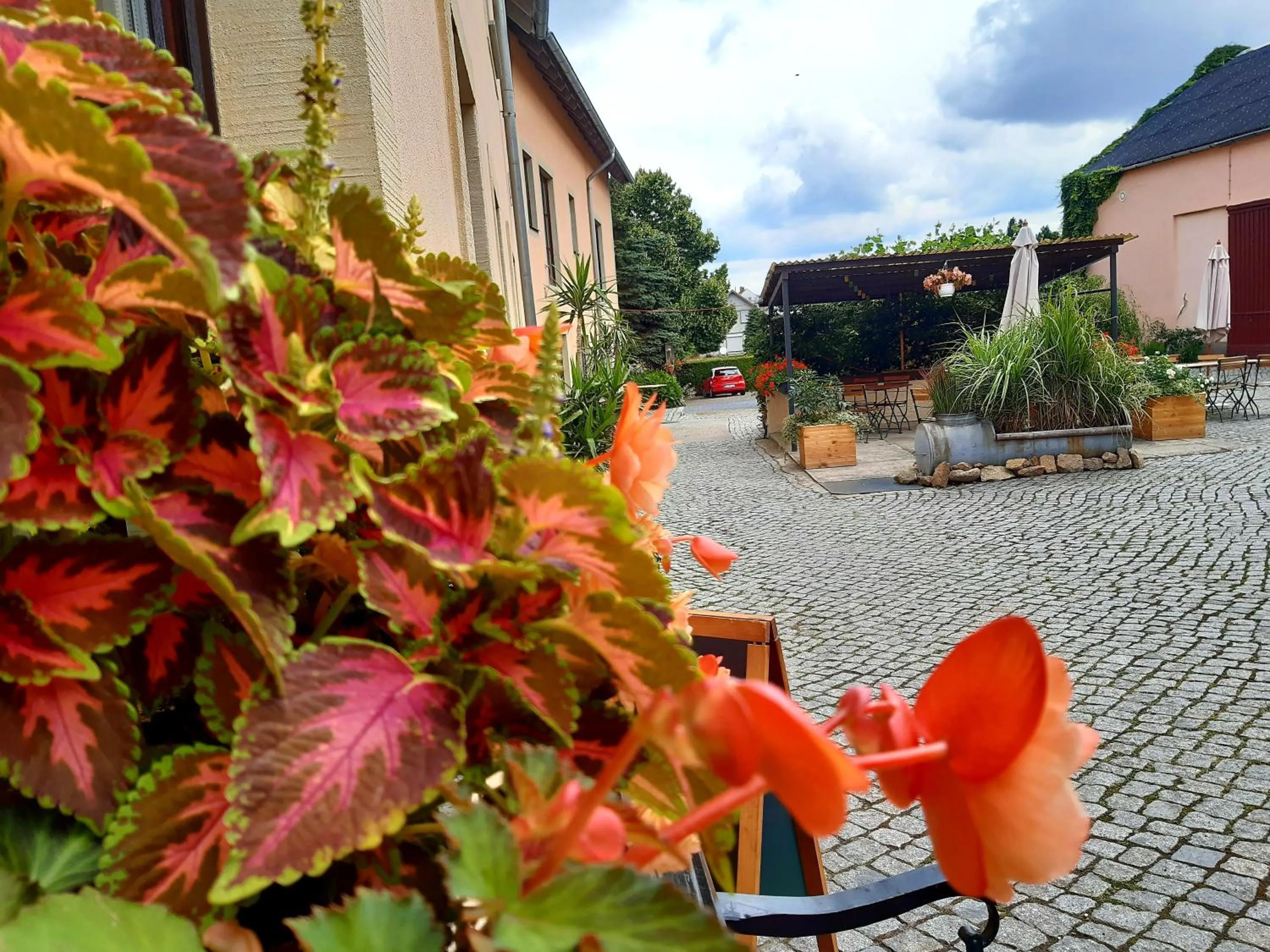 Patio in Hotel "Pension Marlis"