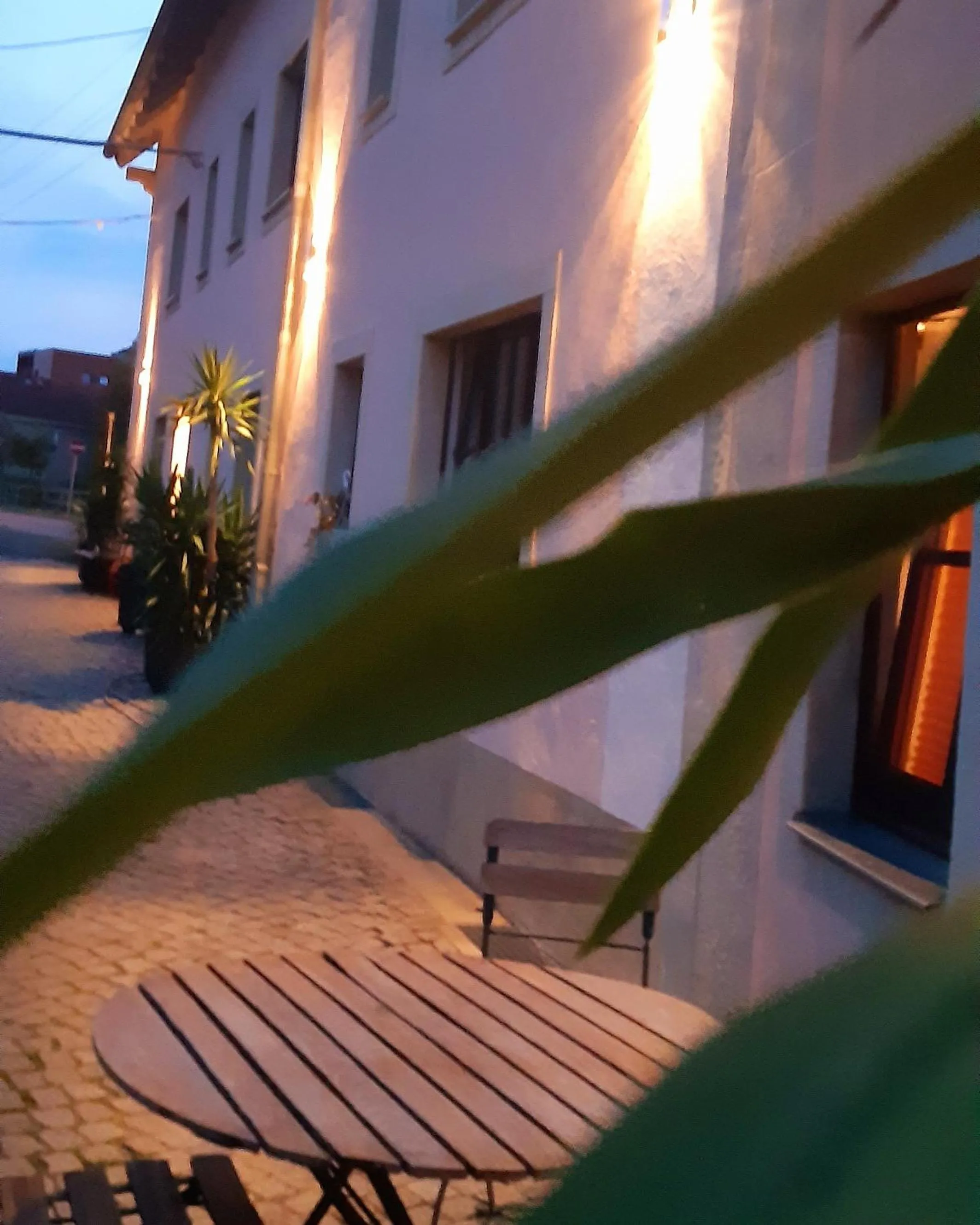 Patio in Hotel "Pension Marlis"