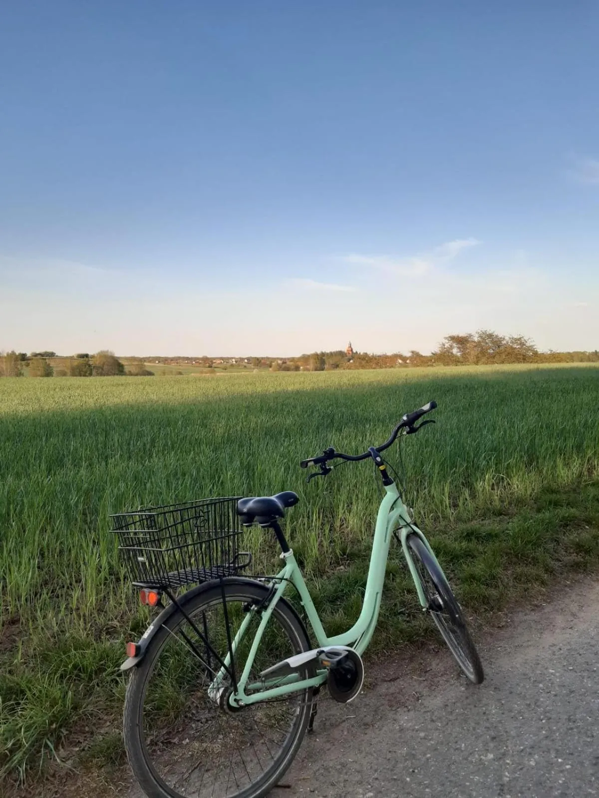 Cycling in Hotel "Pension Marlis"