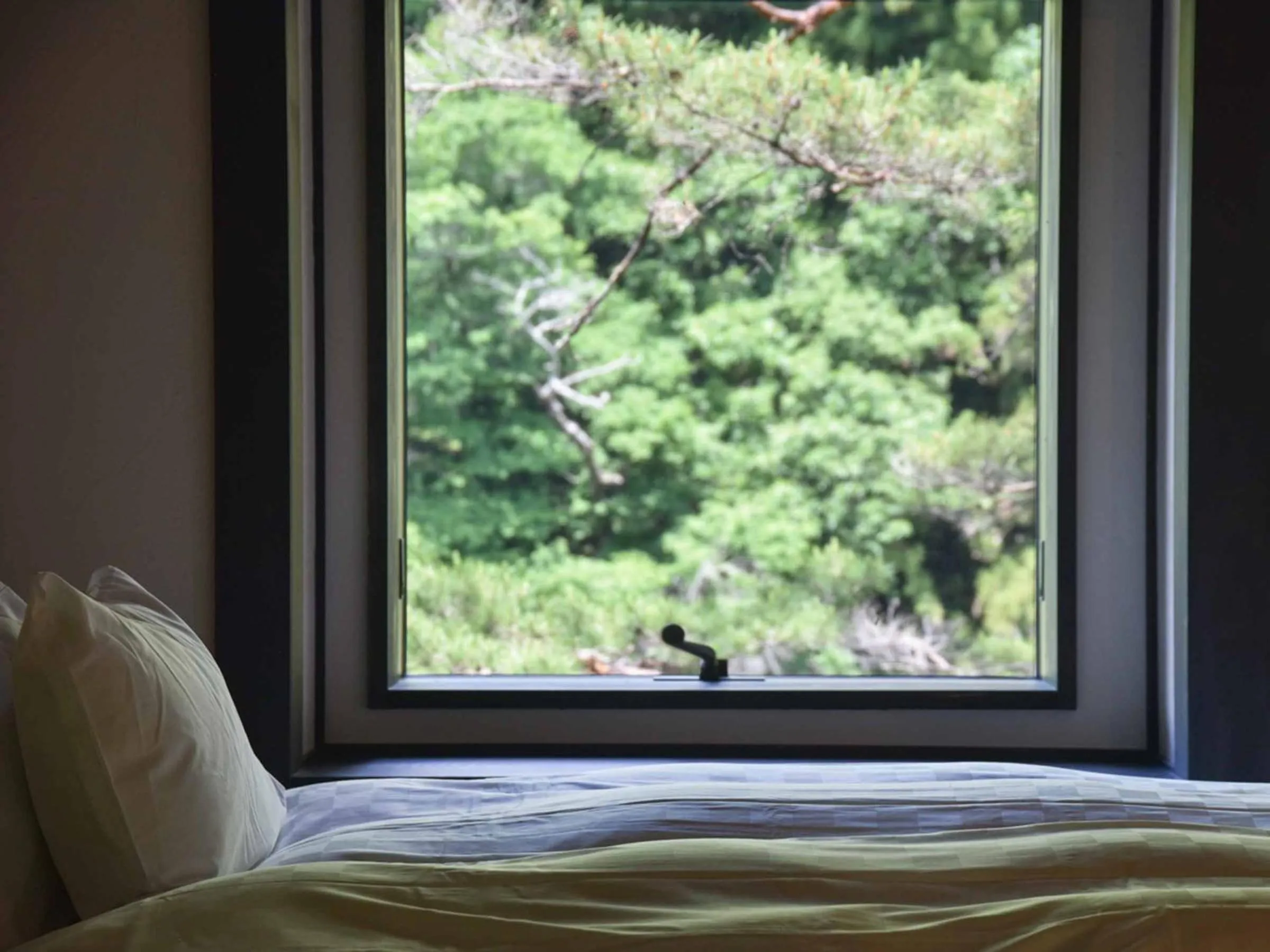 Photo of the whole room, Bed in Kyousen