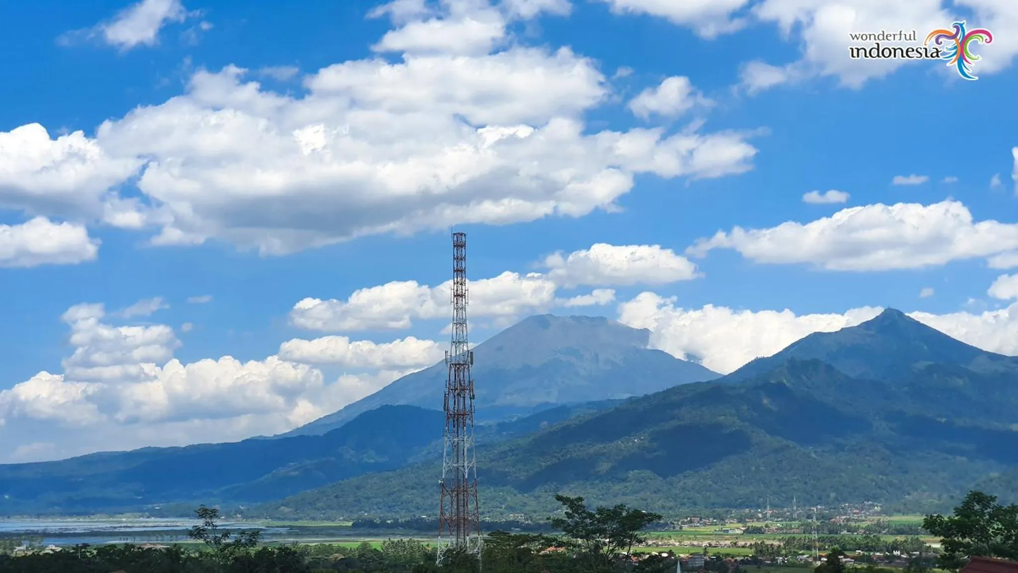 Natural landscape in Hotel Griya Wijaya