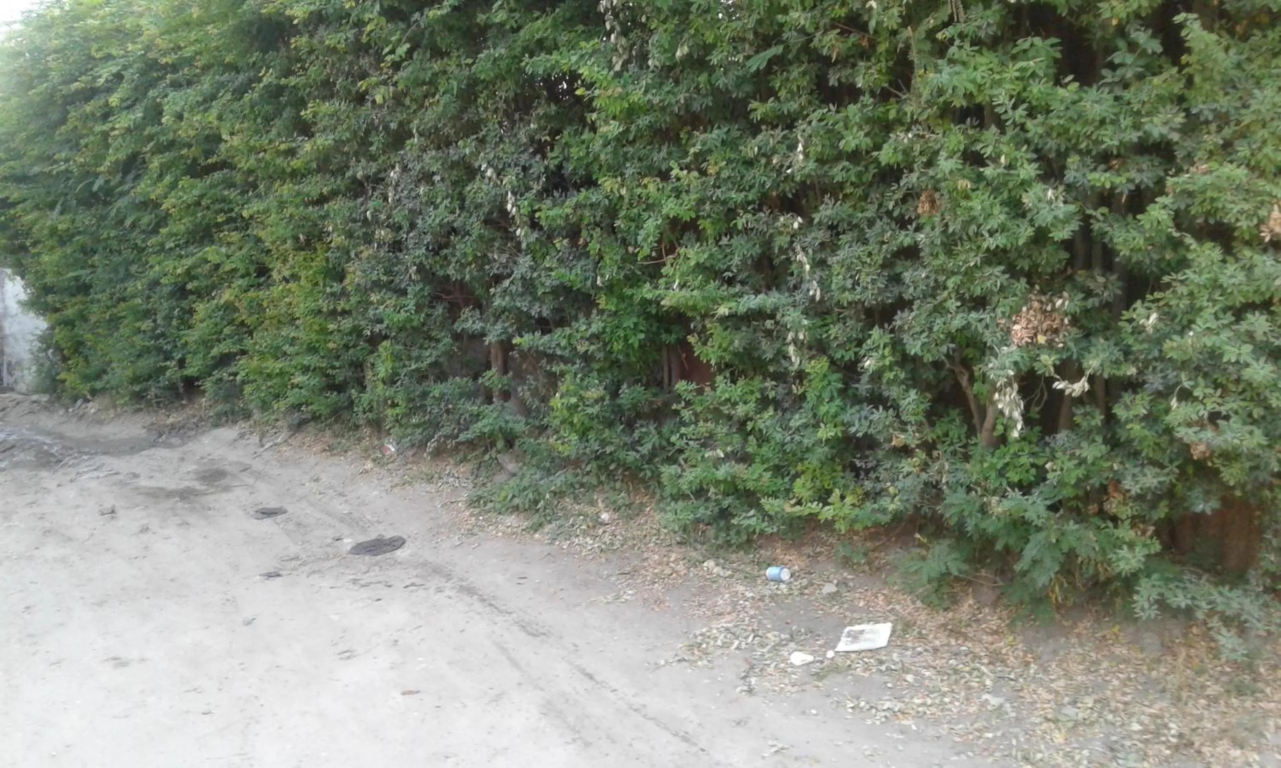 Other in JJ & JE Family House