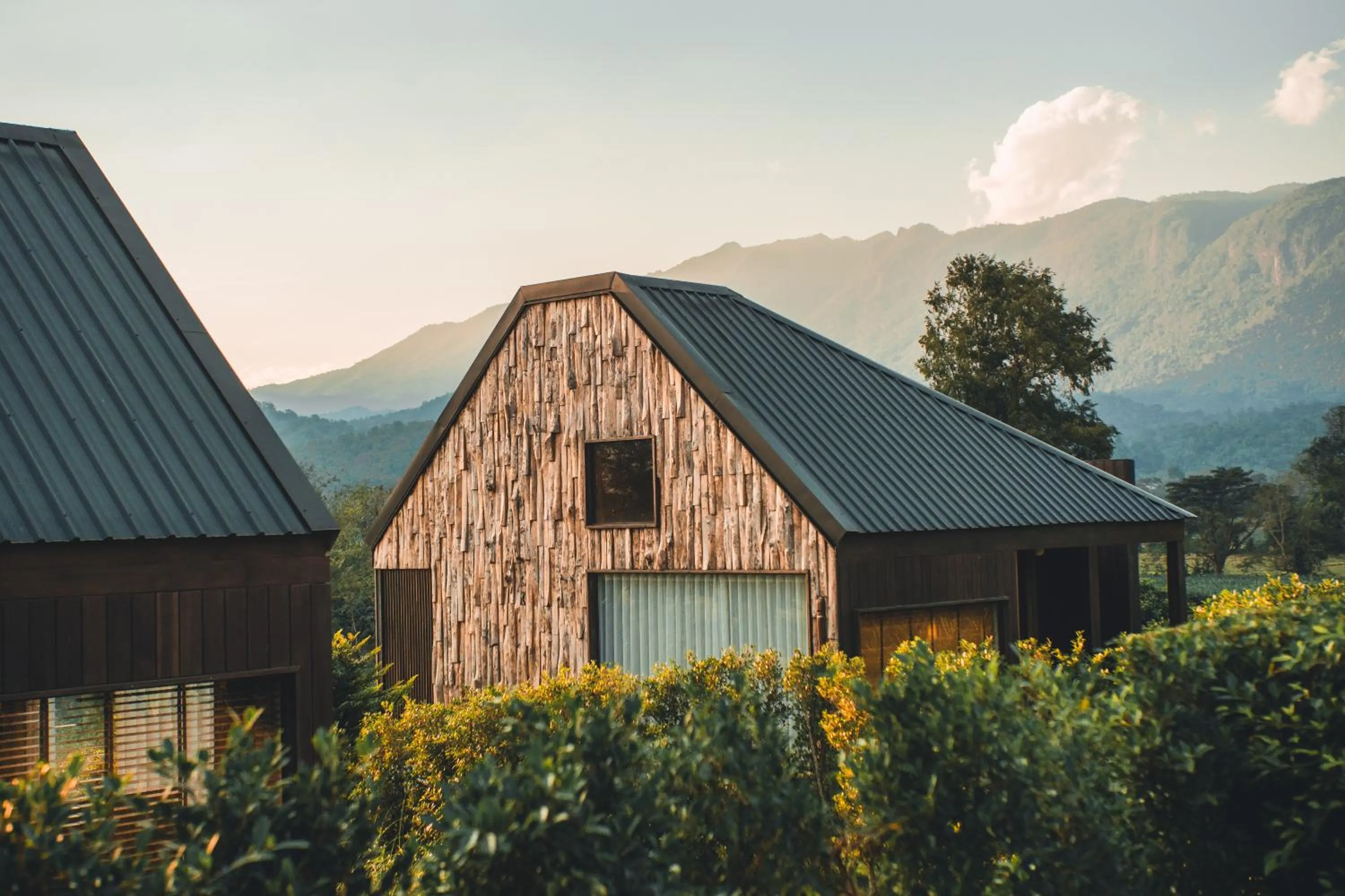 Property building in The CAMPIAN