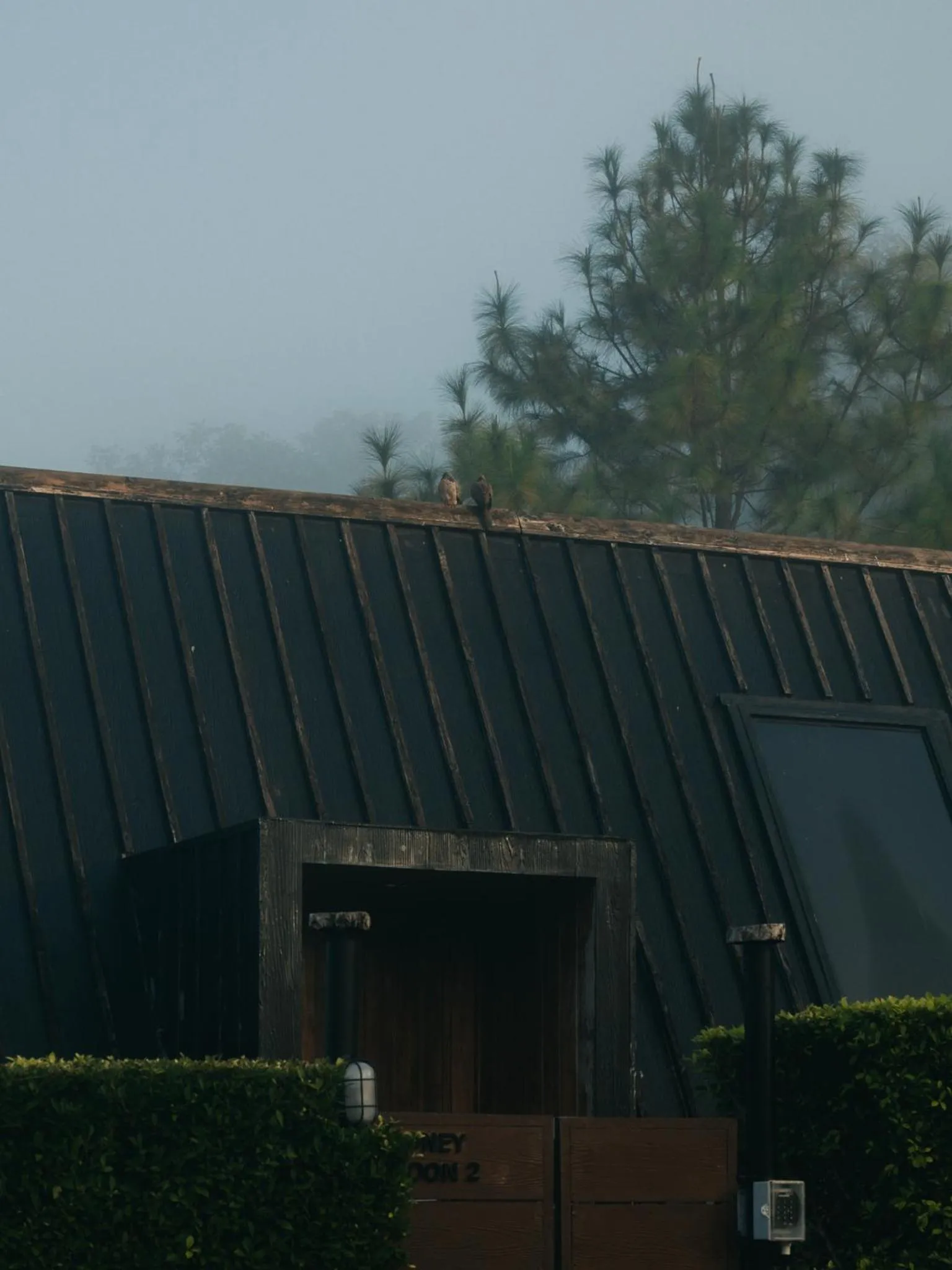 Natural landscape in The CAMPIAN