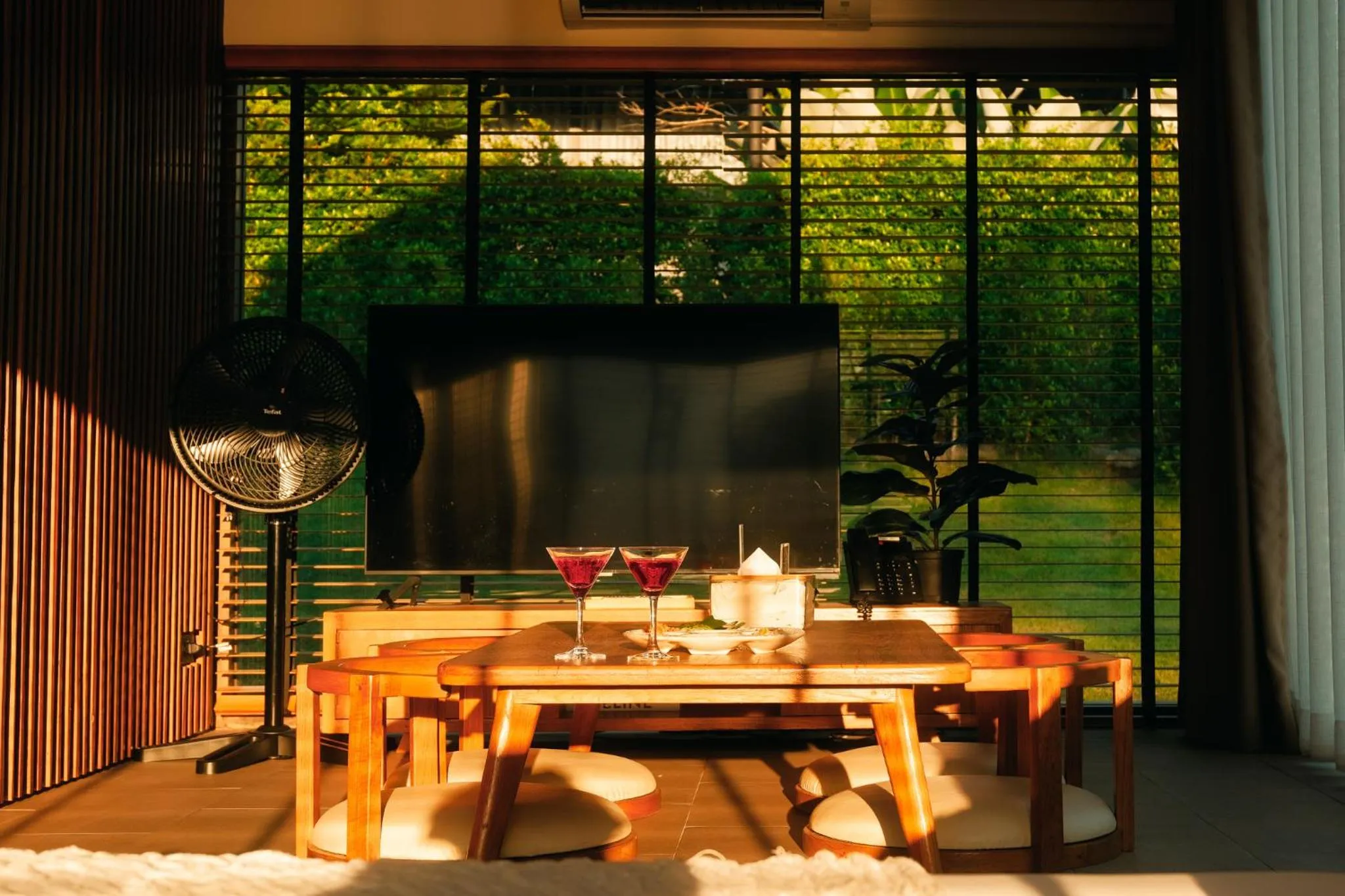 TV and multimedia in The CAMPIAN