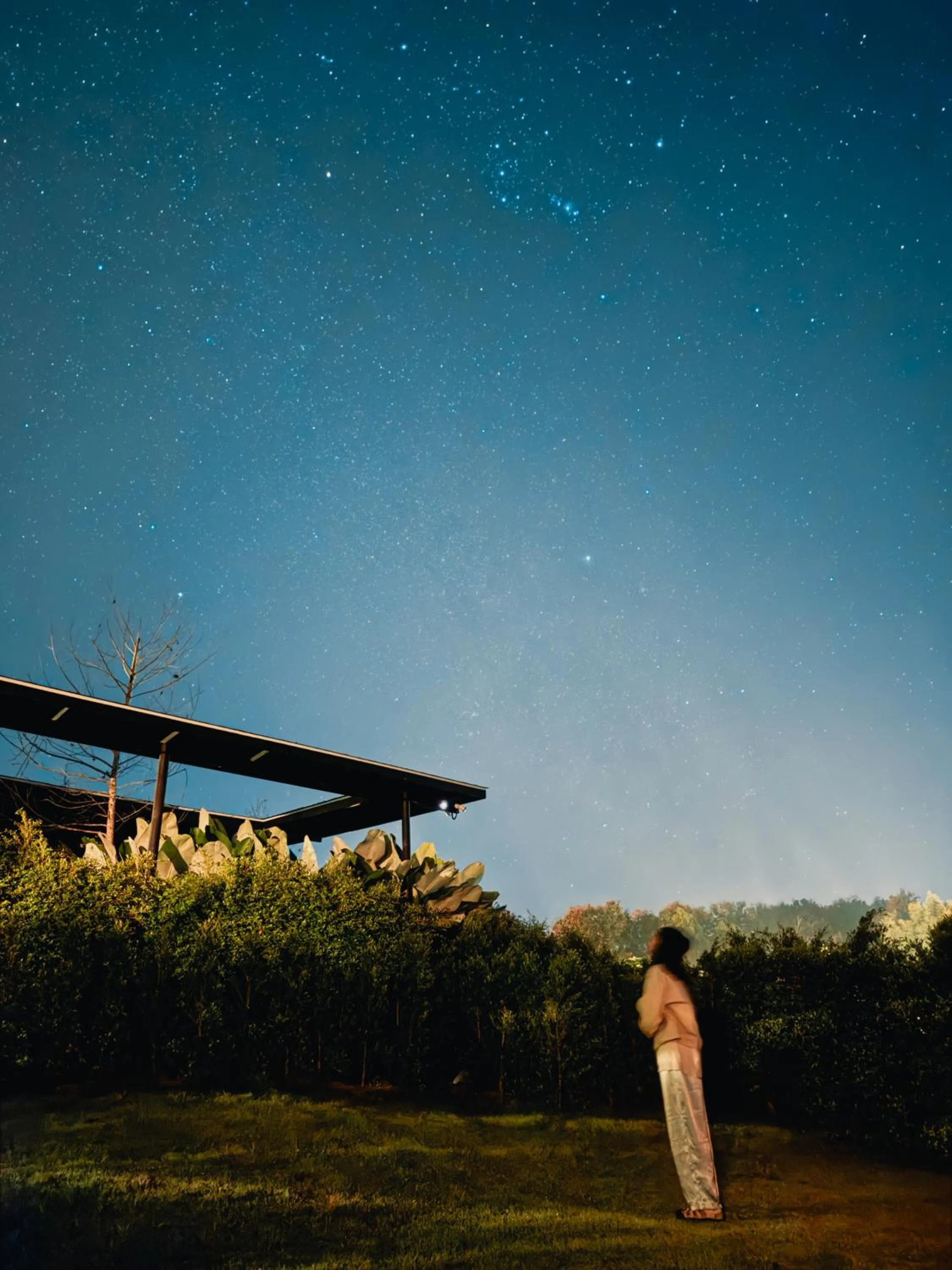 Night in The CAMPIAN