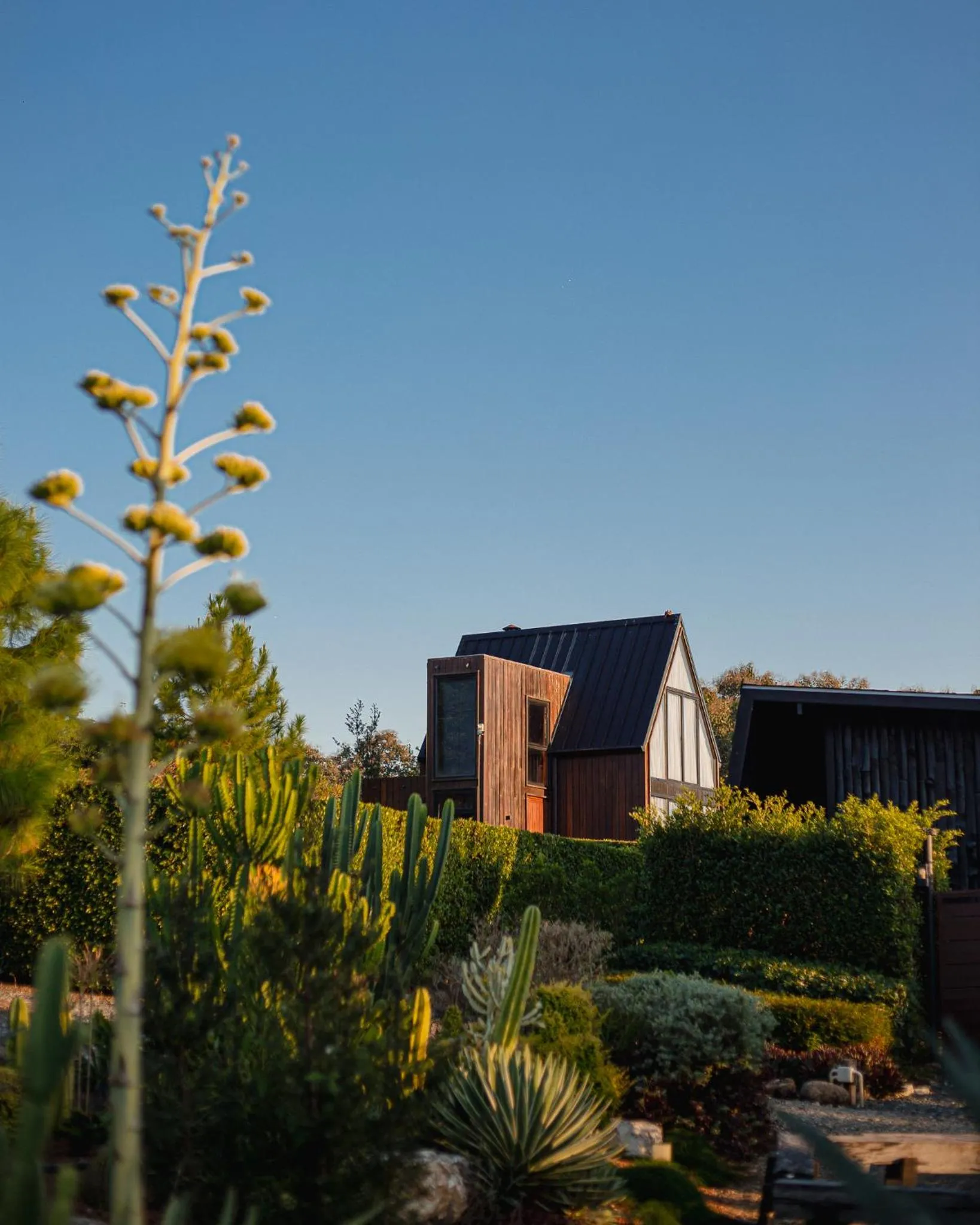 Property building in The CAMPIAN