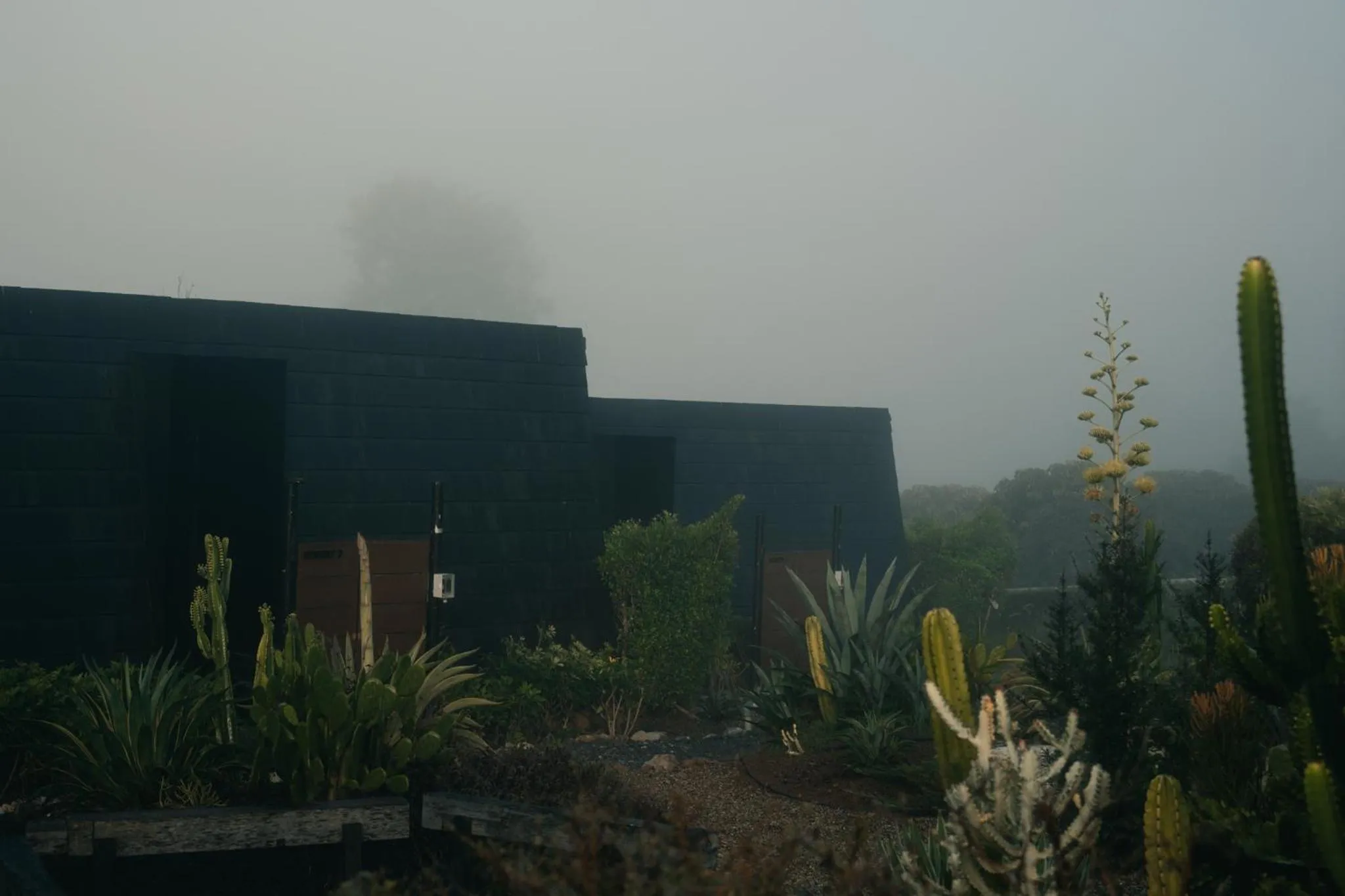 Natural landscape in The CAMPIAN